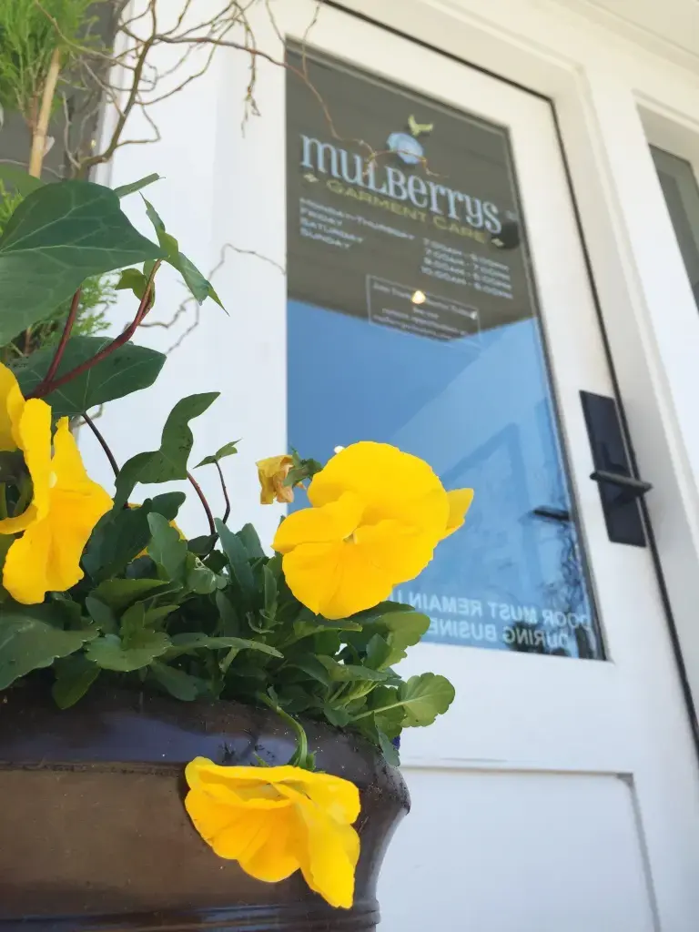 Mulberrys: Minneapolis Dry Cleaners & Laundry thumbnail 1