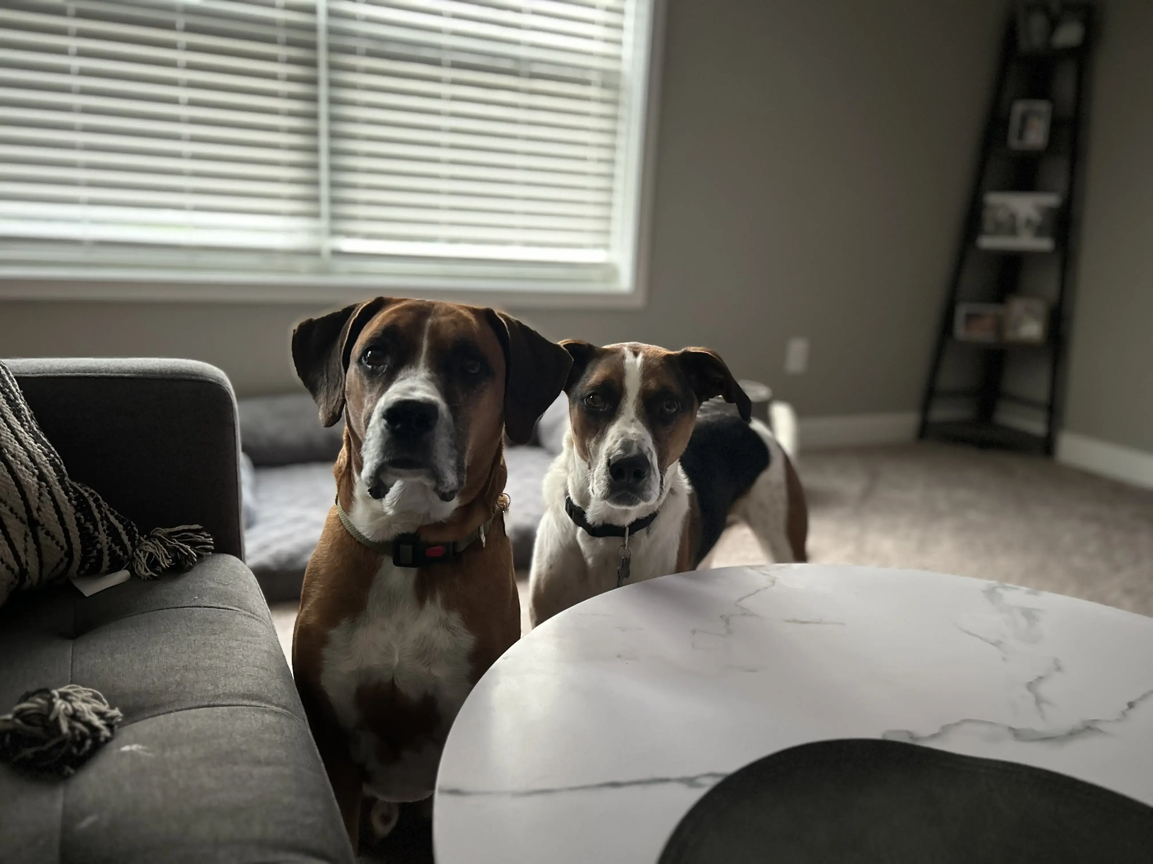 Mulberrys: Minneapolis Dry Cleaners & Laundry - Image 14