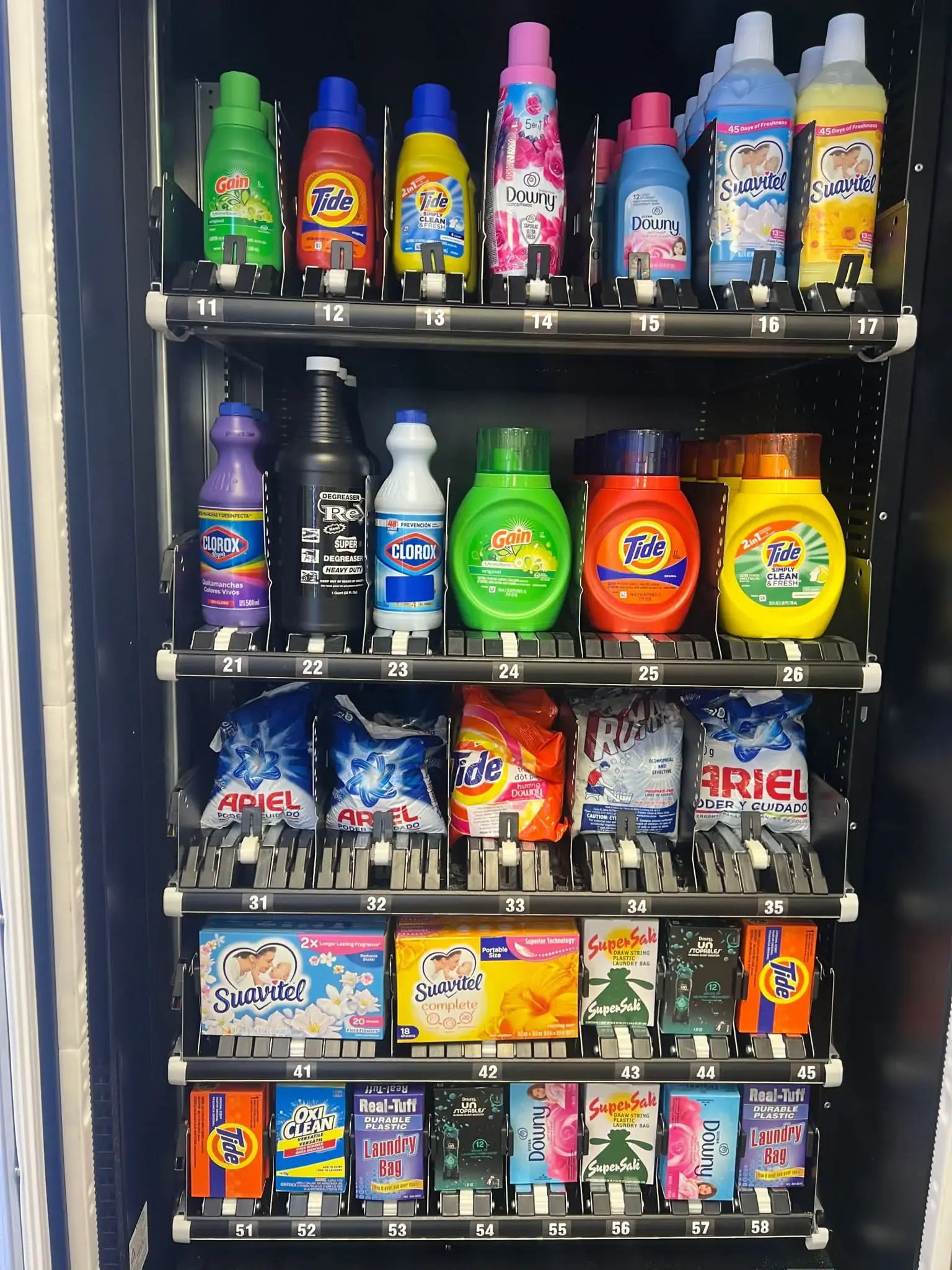 My City Laundry - Image 19