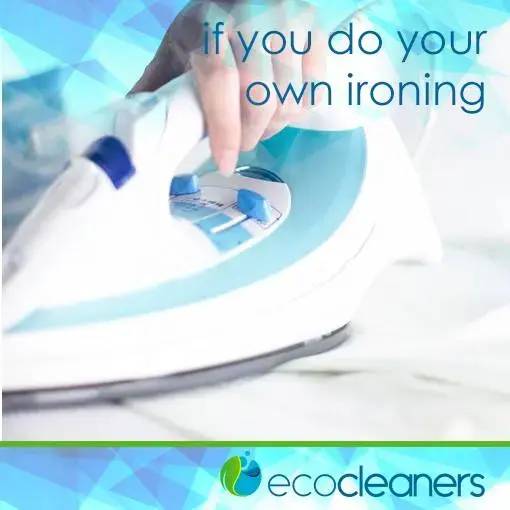 My Ecocleaners thumbnail 5