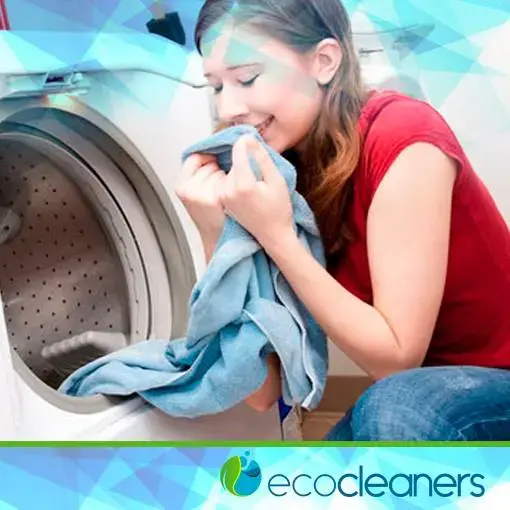 My Ecocleaners - Image 2