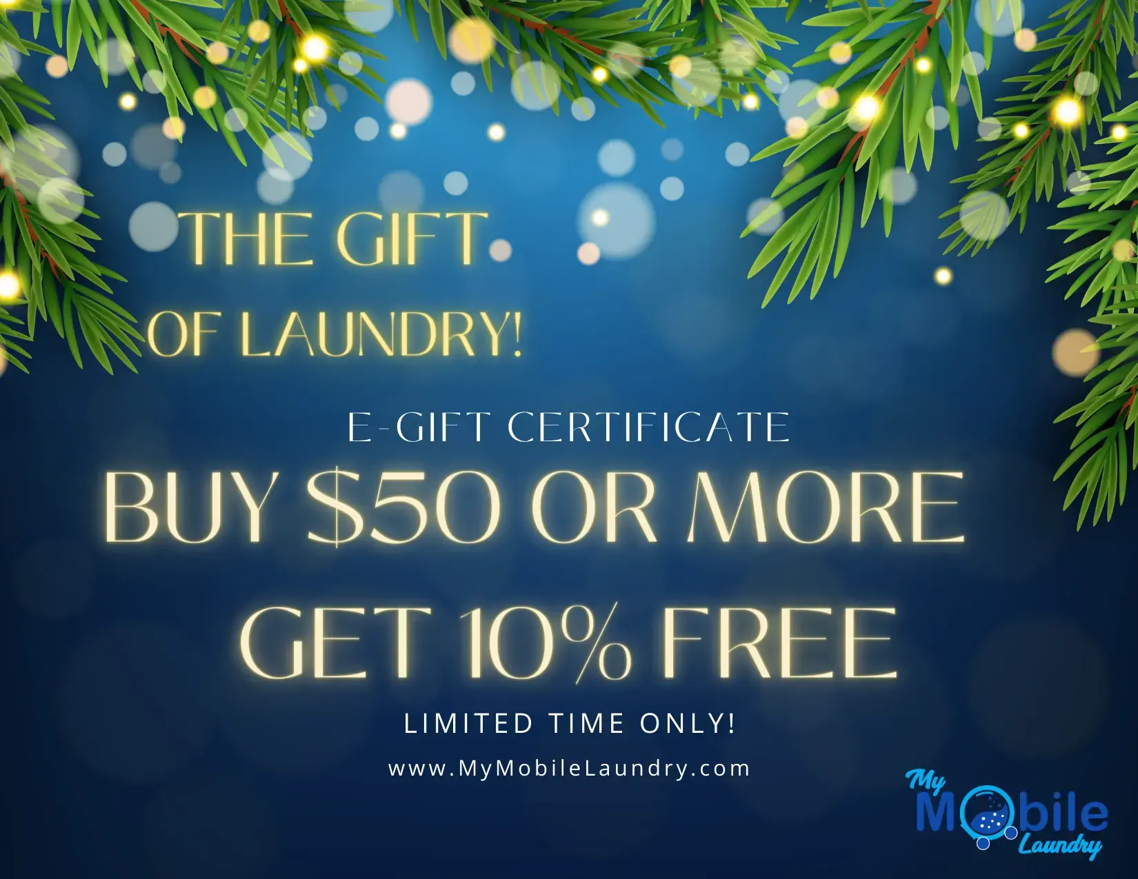 My Mobile Laundry thumbnail 5