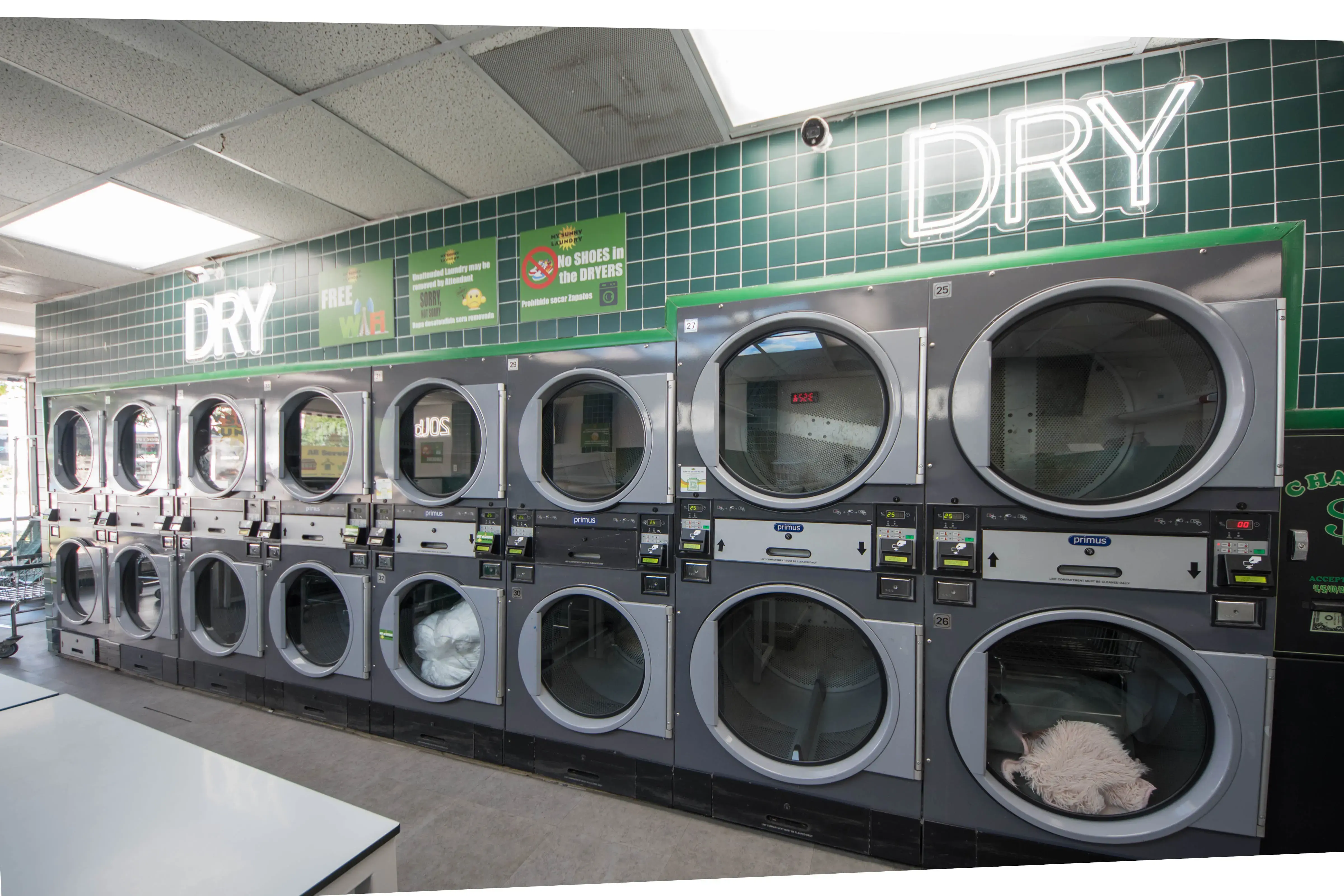 My Sunny Laundry - Image 4