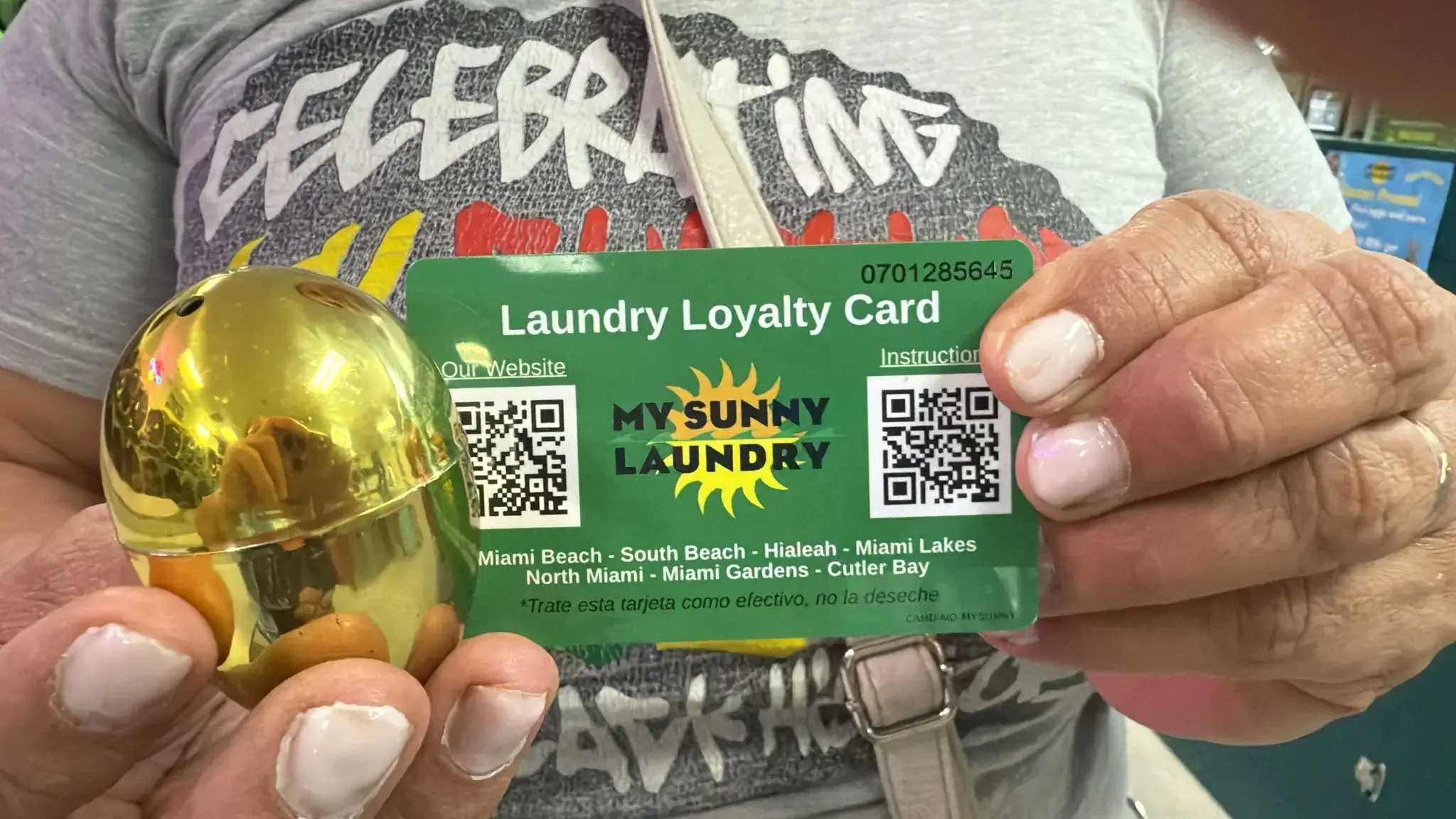 My Sunny Laundry thumbnail 13