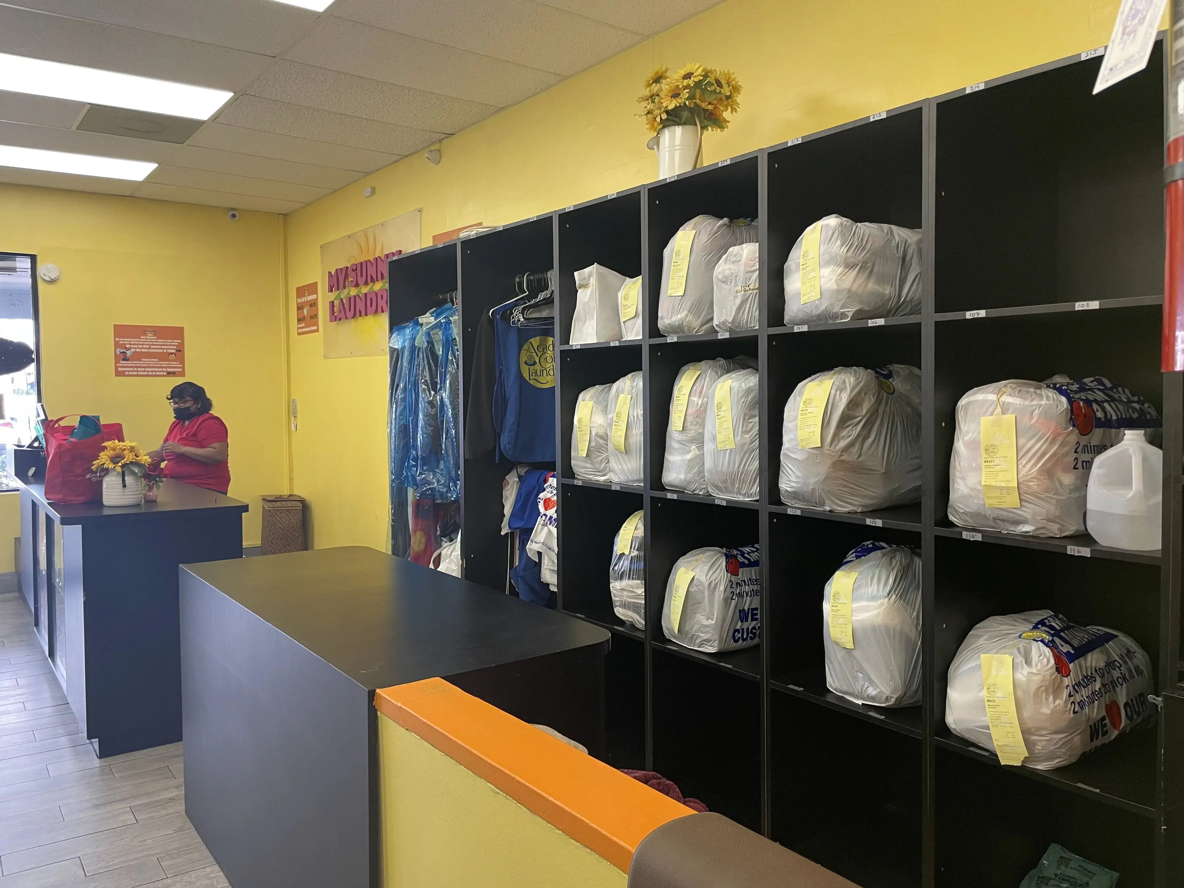 My Sunny Laundry - Image 7