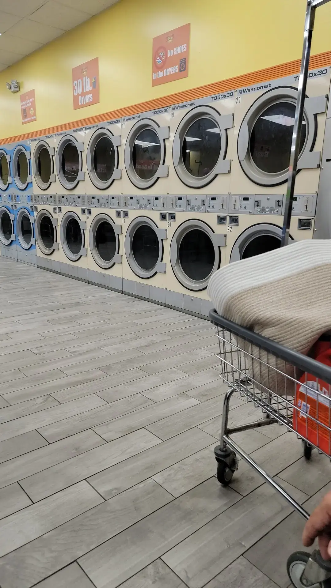 My Sunny Laundry - Image 16