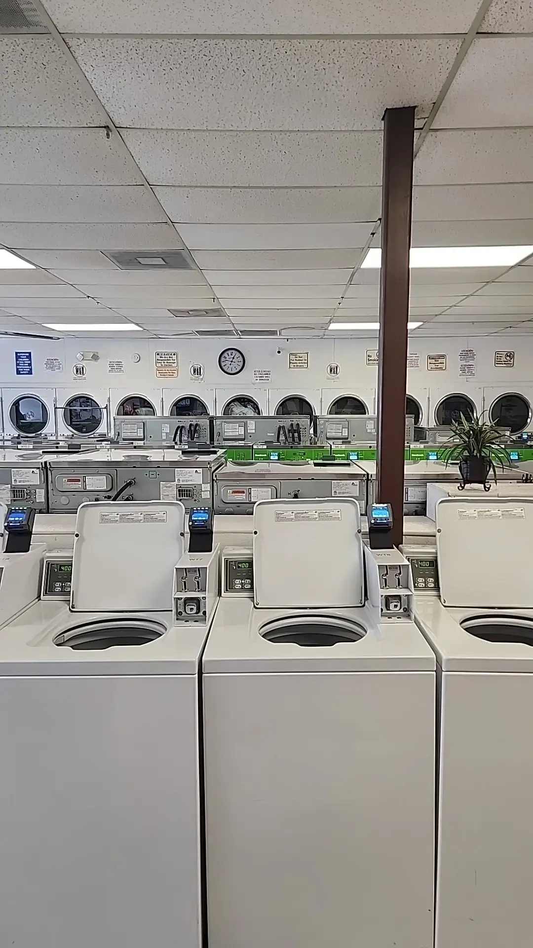 MySuperClean Wash thumbnail 3