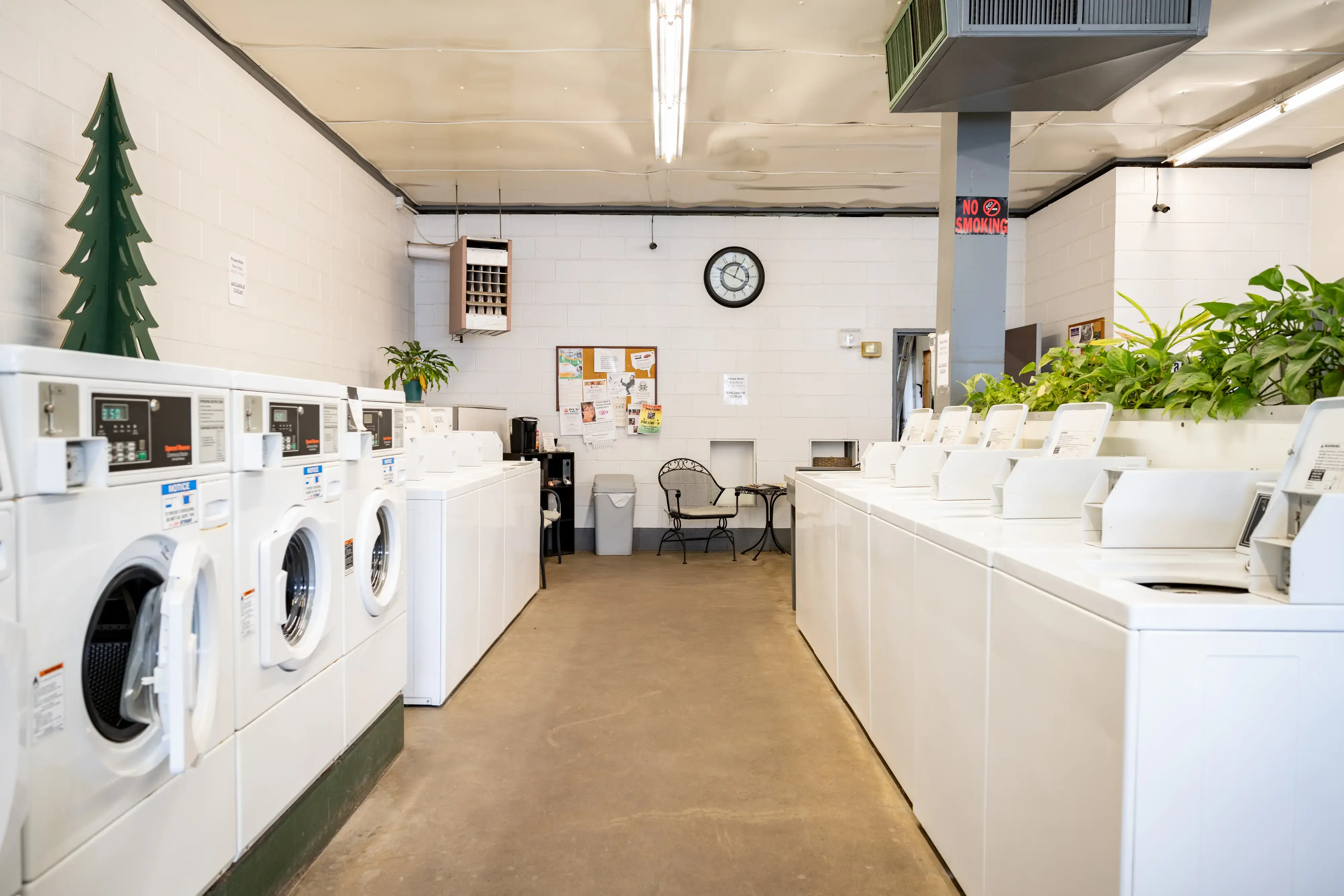 Naples Laundromat thumbnail 11