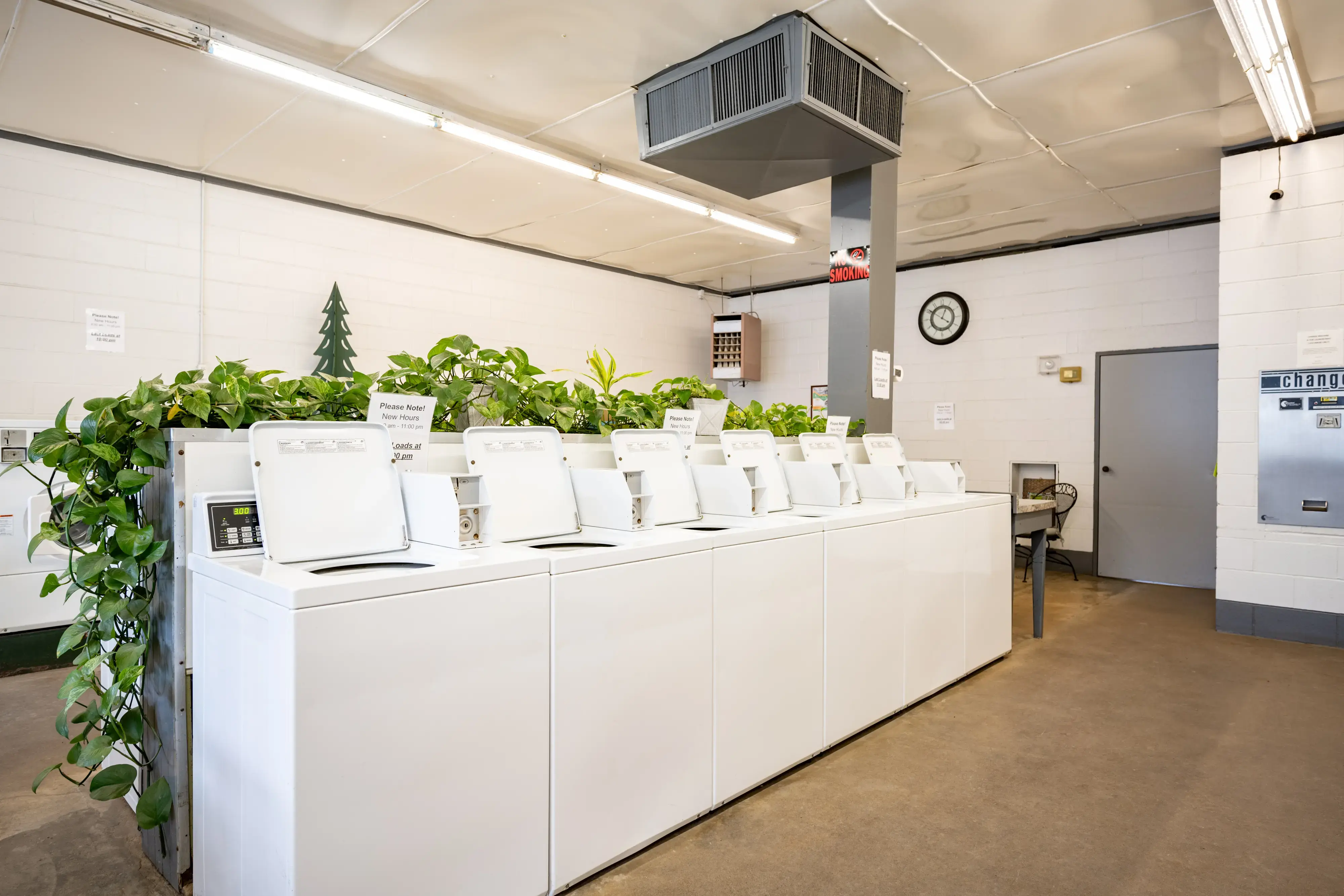 Naples Laundromat - Image 7