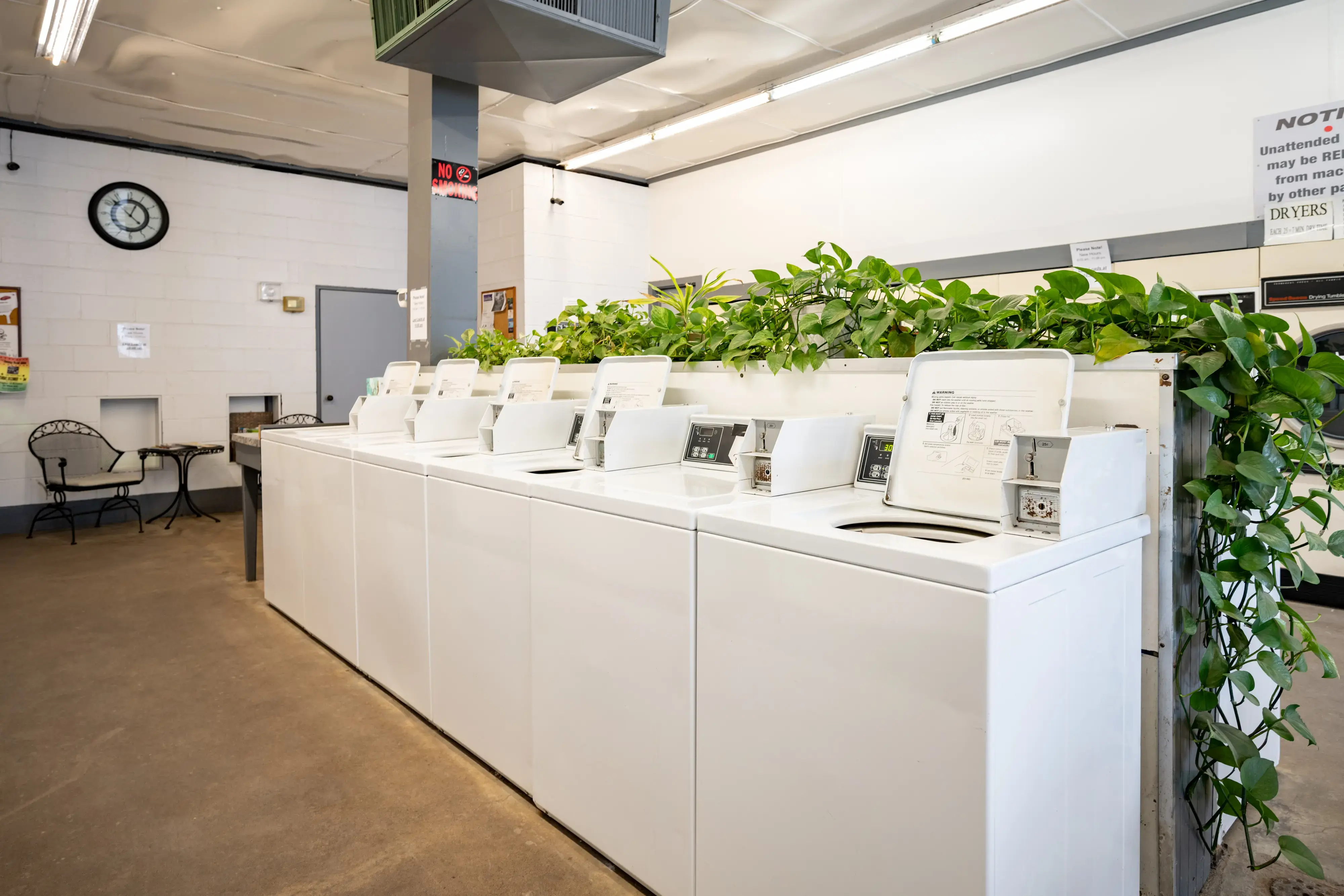 Naples Laundromat - Image 3