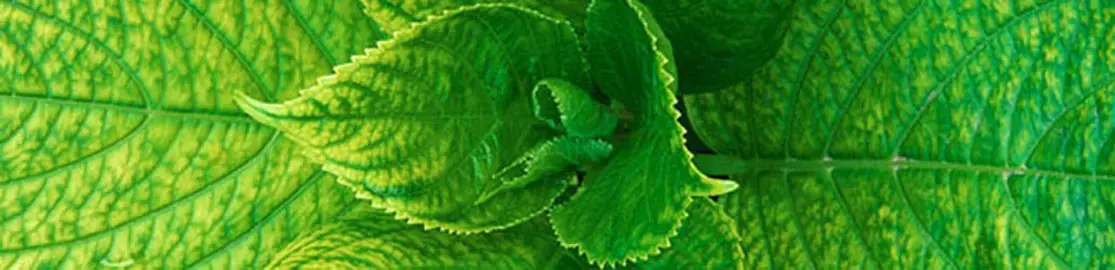 Natures Dry Cleaners thumbnail 12
