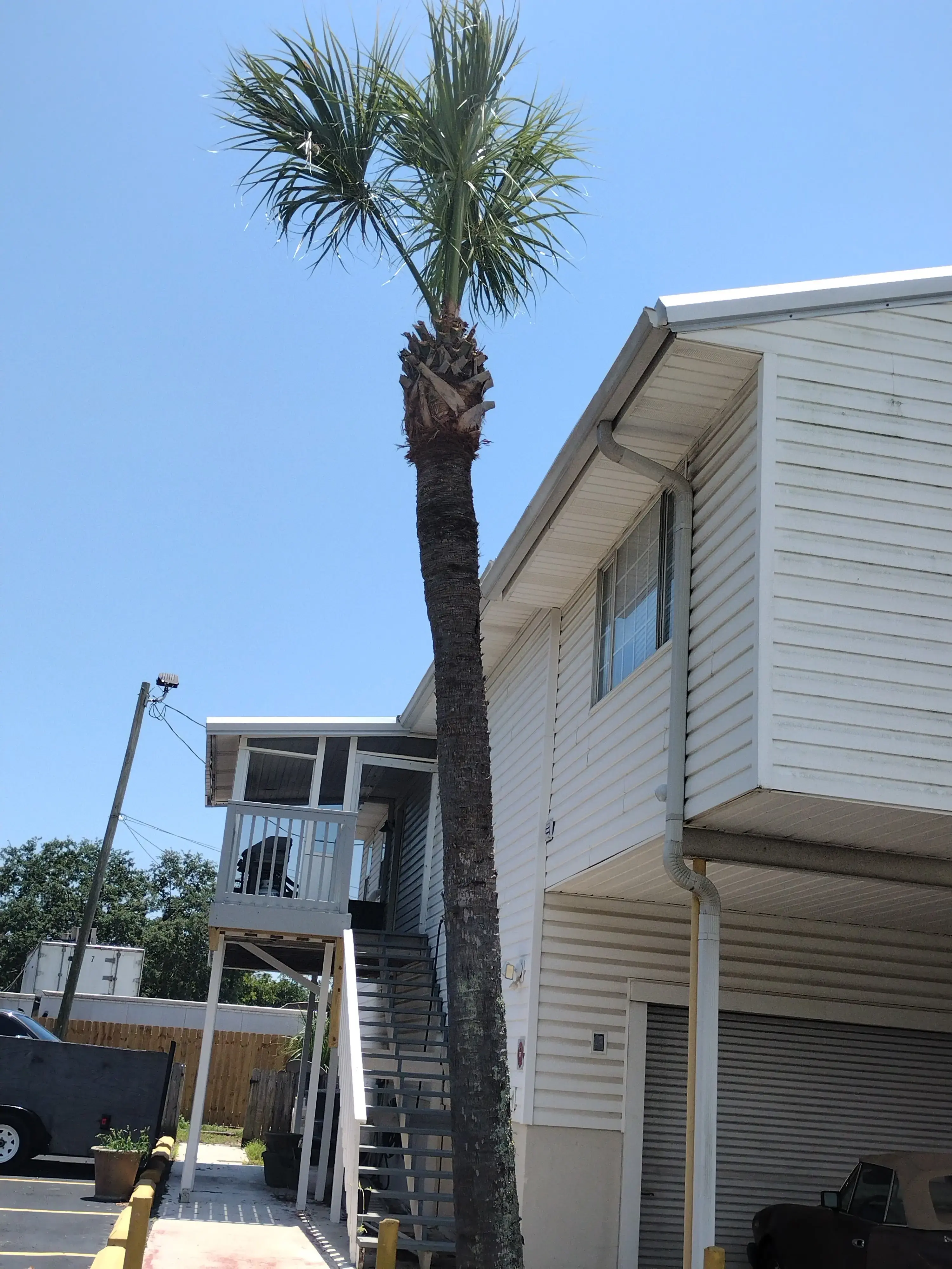 Navarre Beach Laundry thumbnail 20