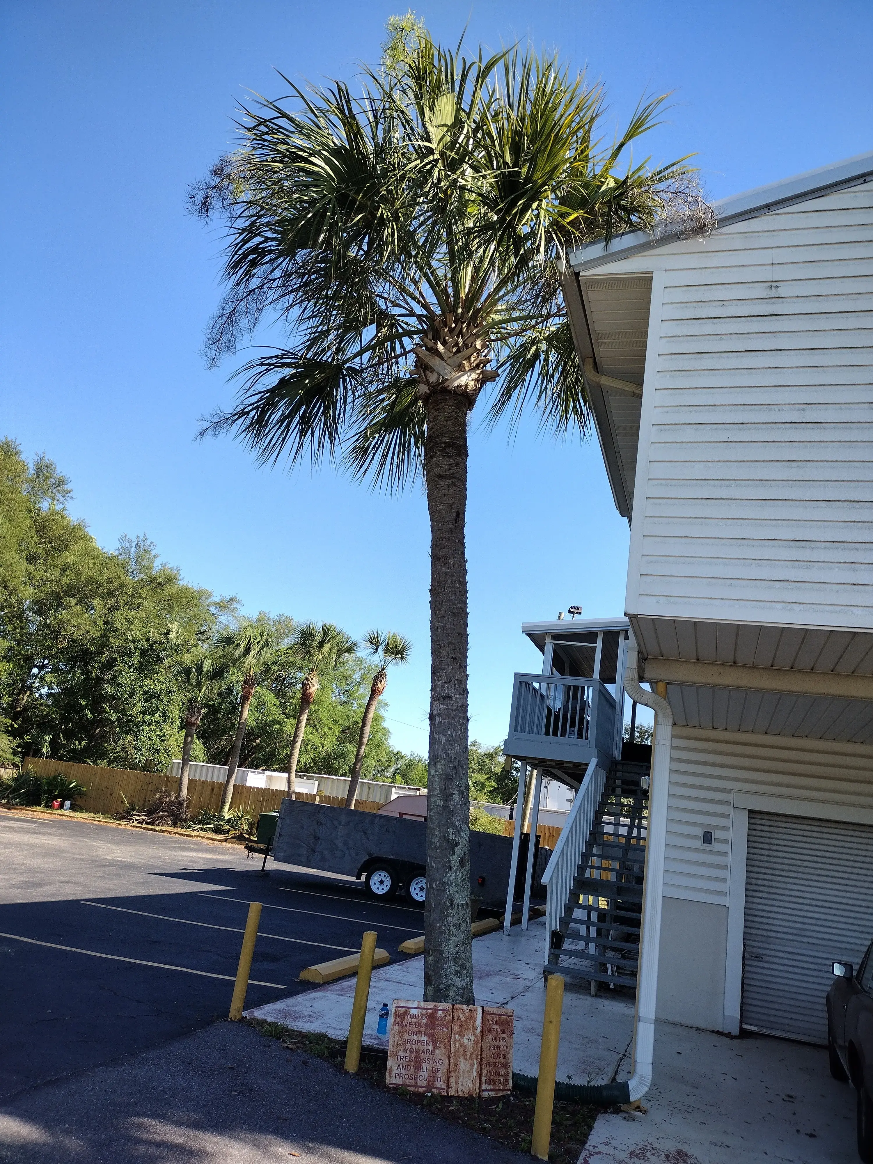 Navarre Beach Laundry - Image 9