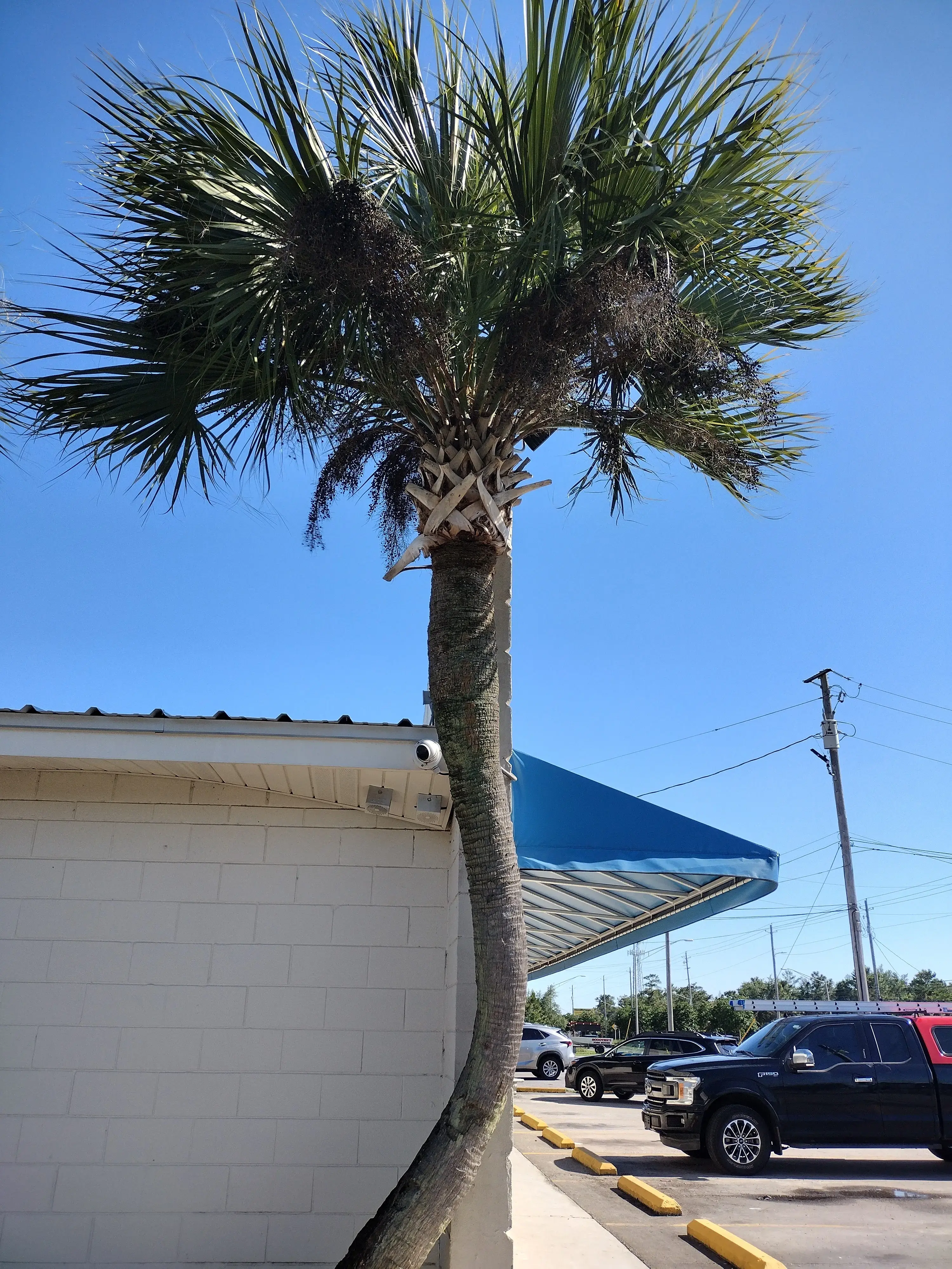 Navarre Beach Laundry - Image 3