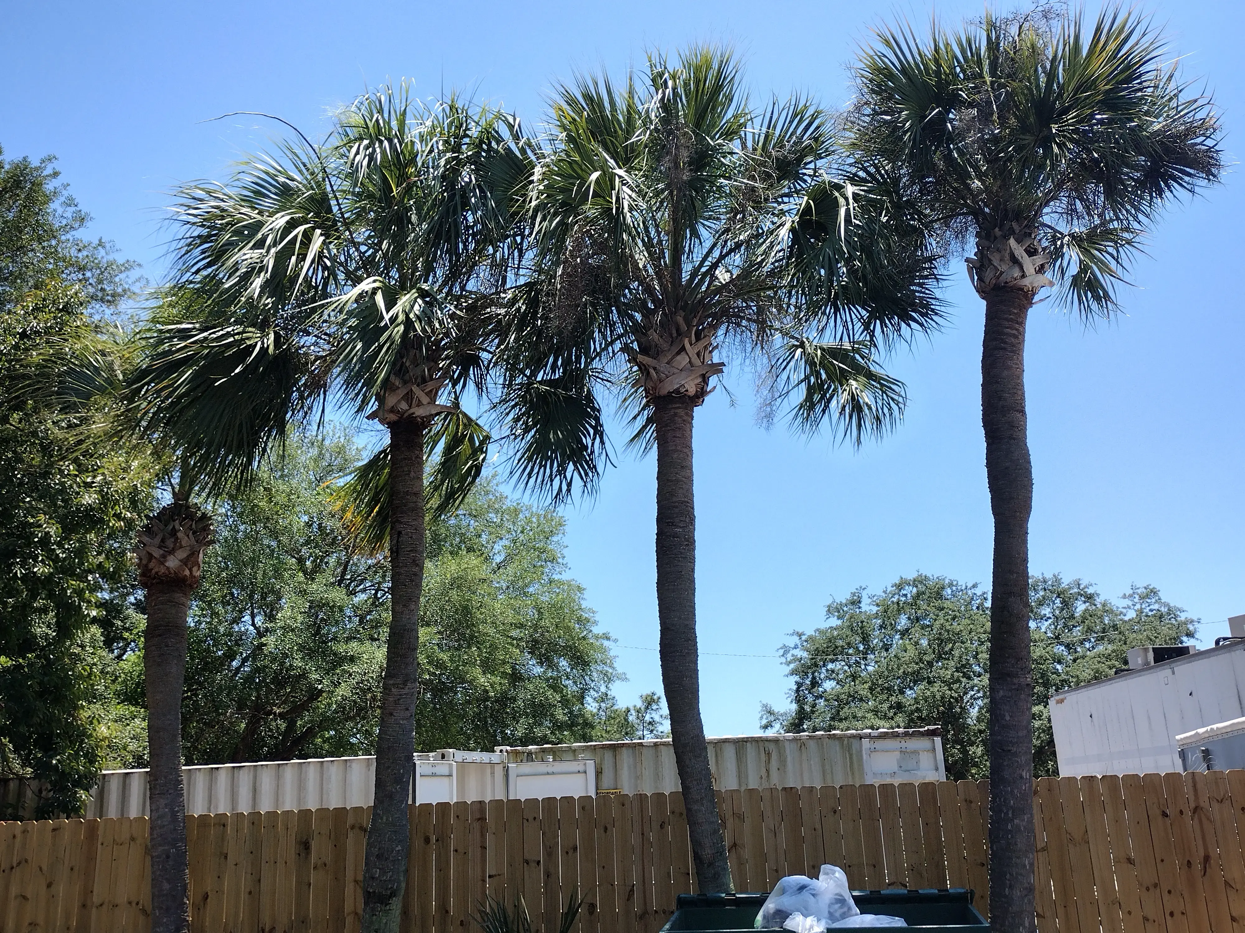 Navarre Beach Laundry - Image 12