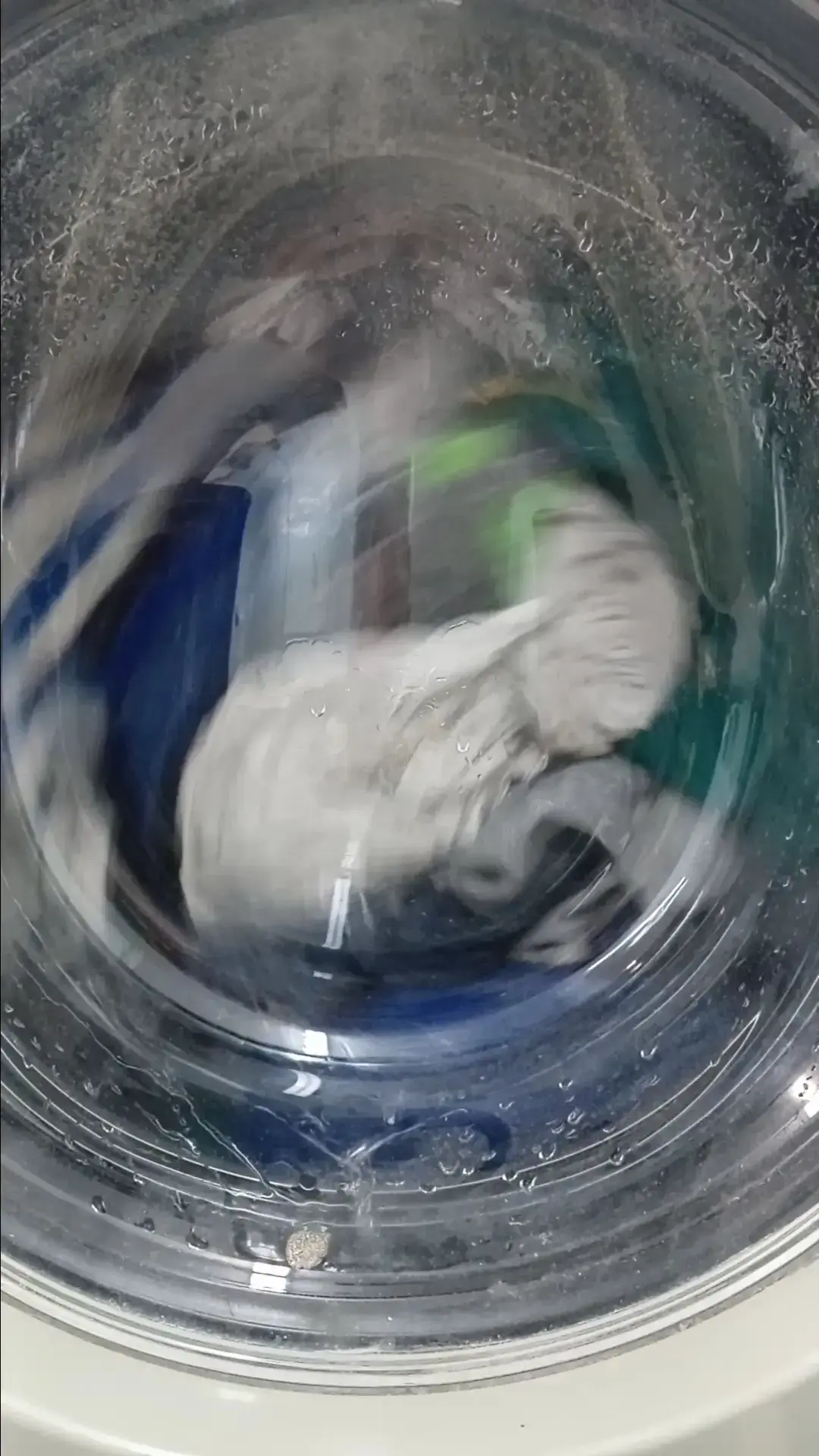 Navarre Beach Laundry - Image 15