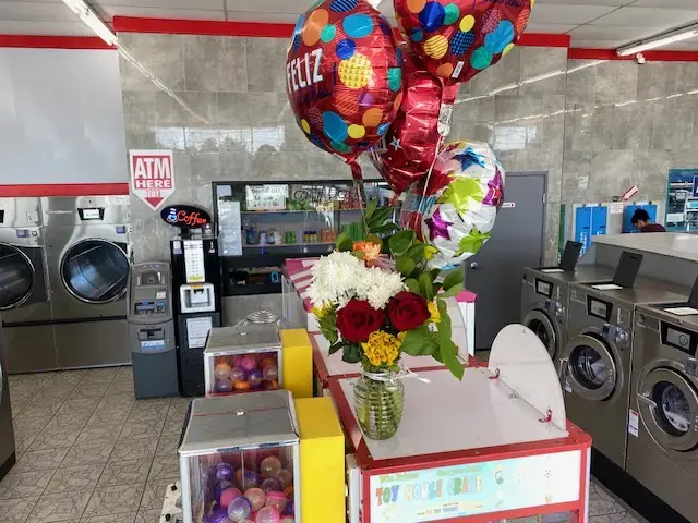 NB Super Laundry - Image 13