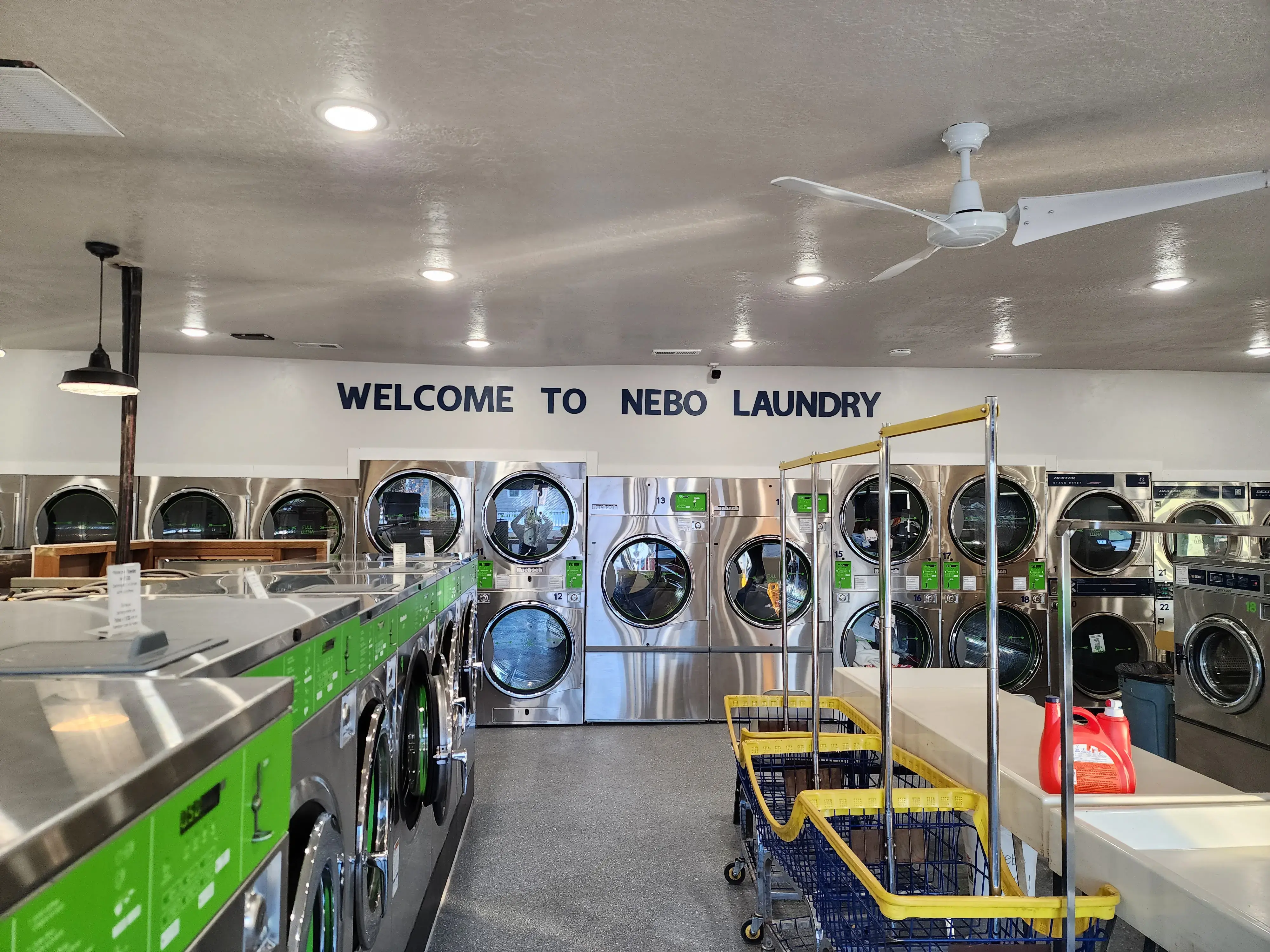 NEBO Laundry - Image 7