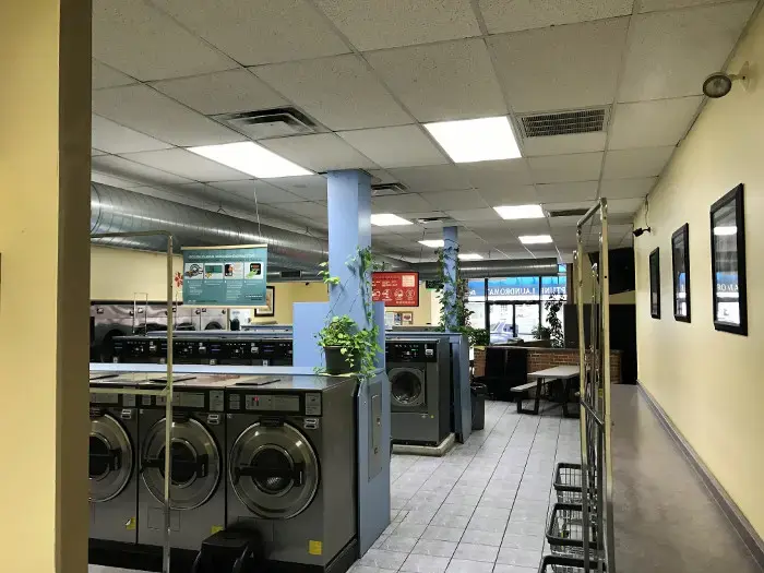 Neptune Laundromat - Image 15