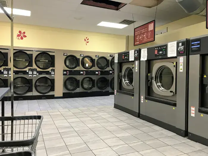Neptune Laundromat thumbnail 17