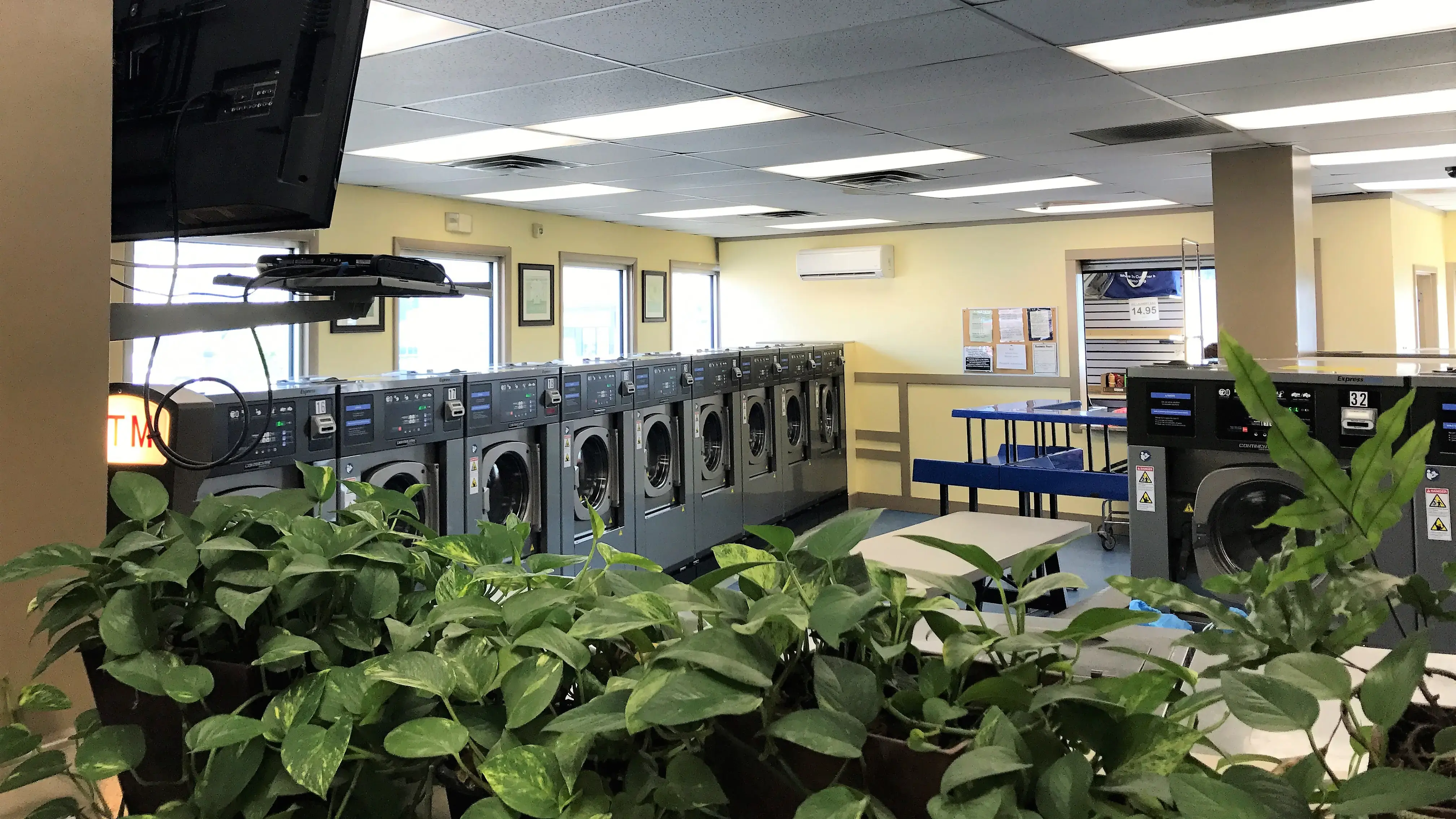 Neptune Laundromat thumbnail 5