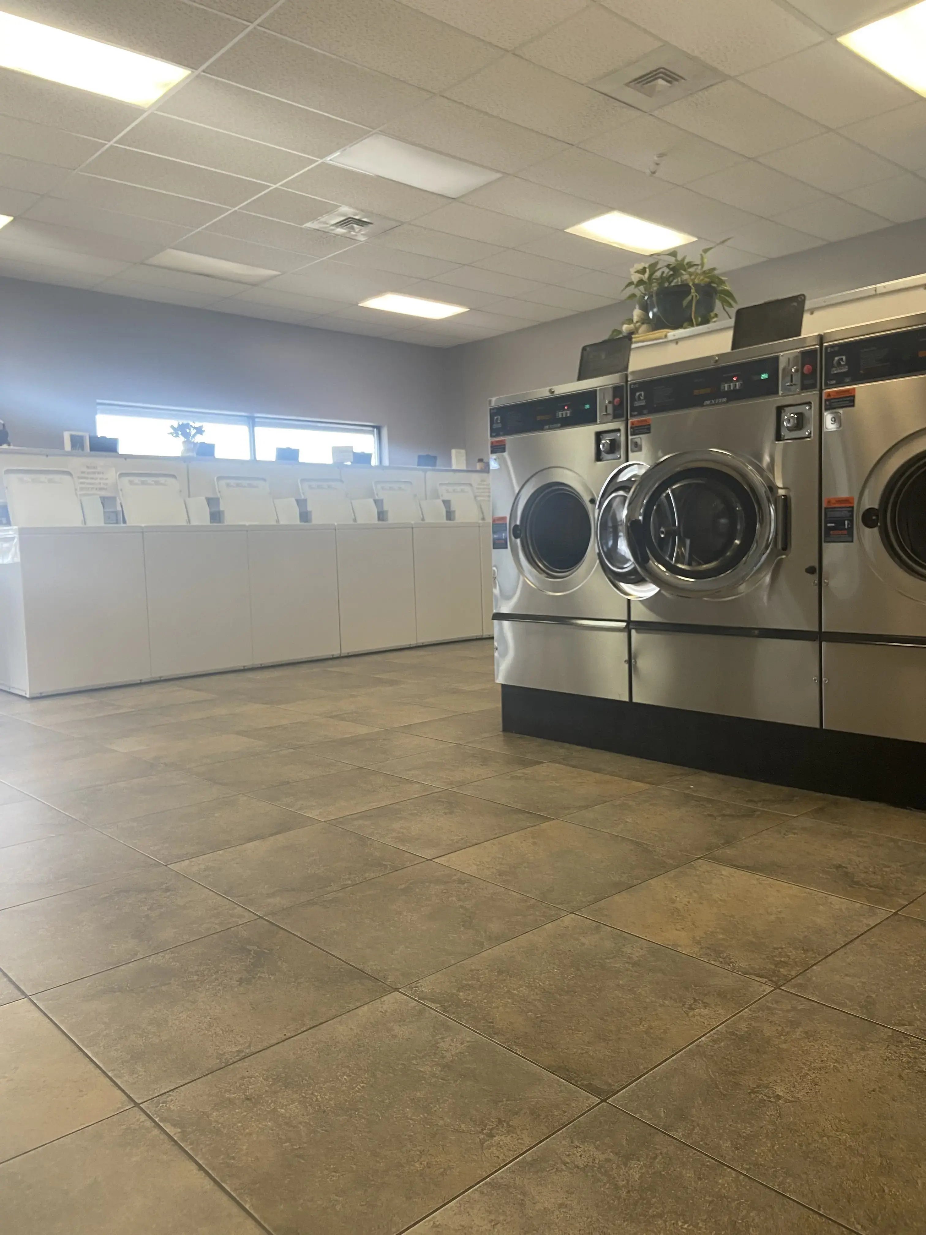 New Generation Laundry & Dry Cleaners - Image 13