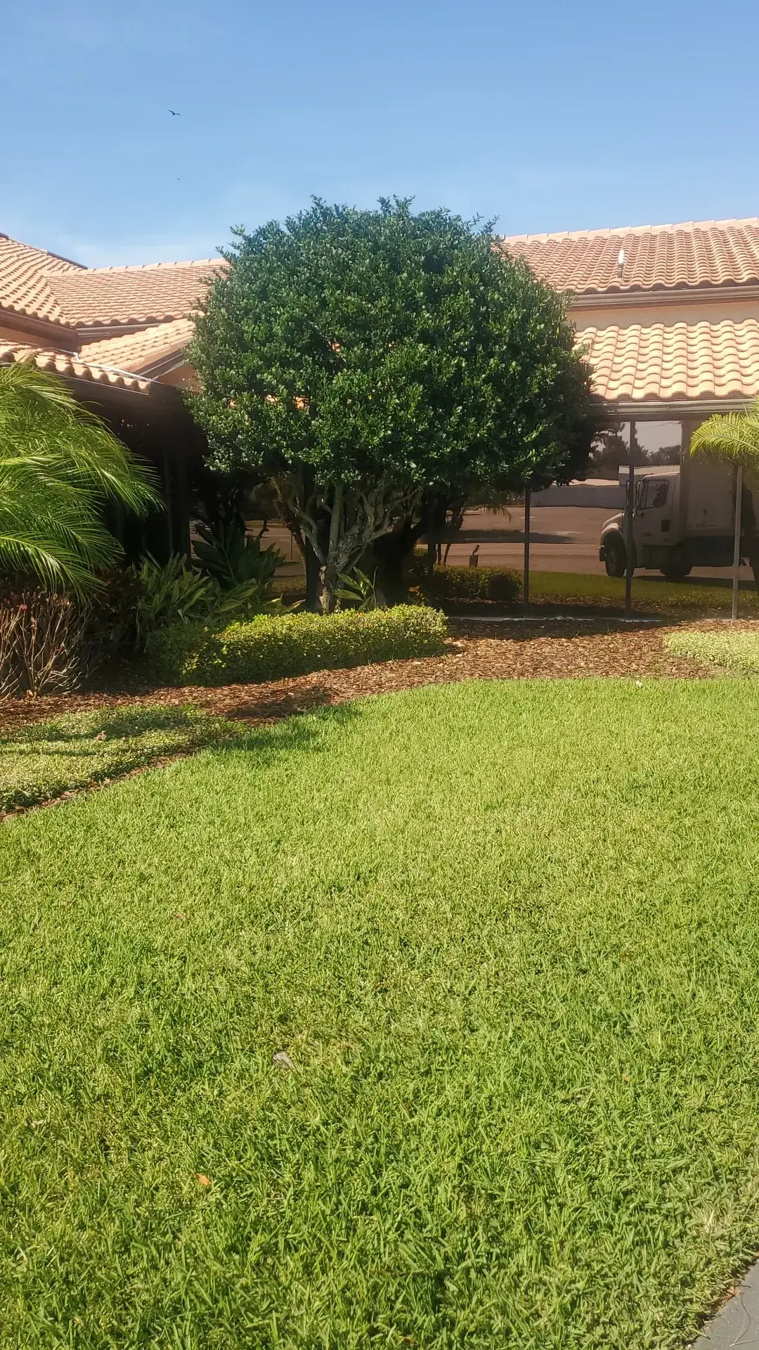 New Port Richey Laundromat - Image 12