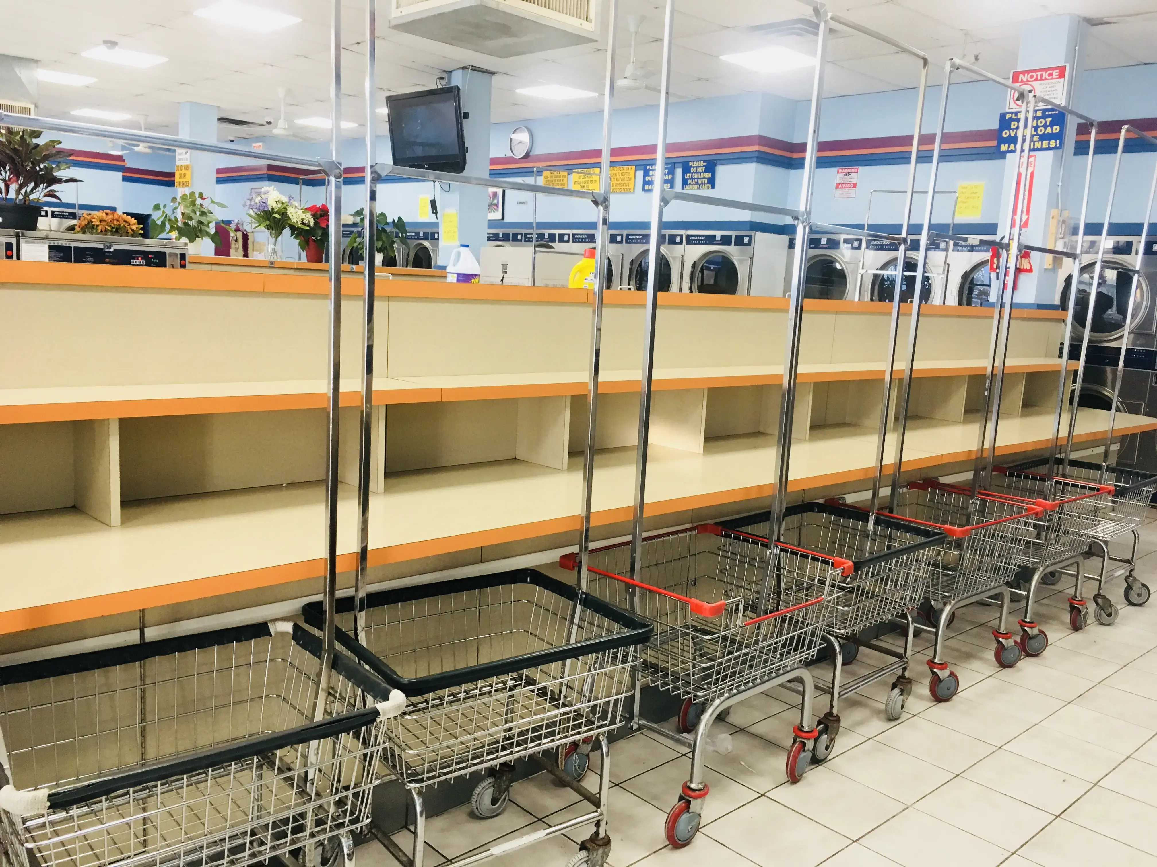 New Sudz Coin Laundromat thumbnail 10