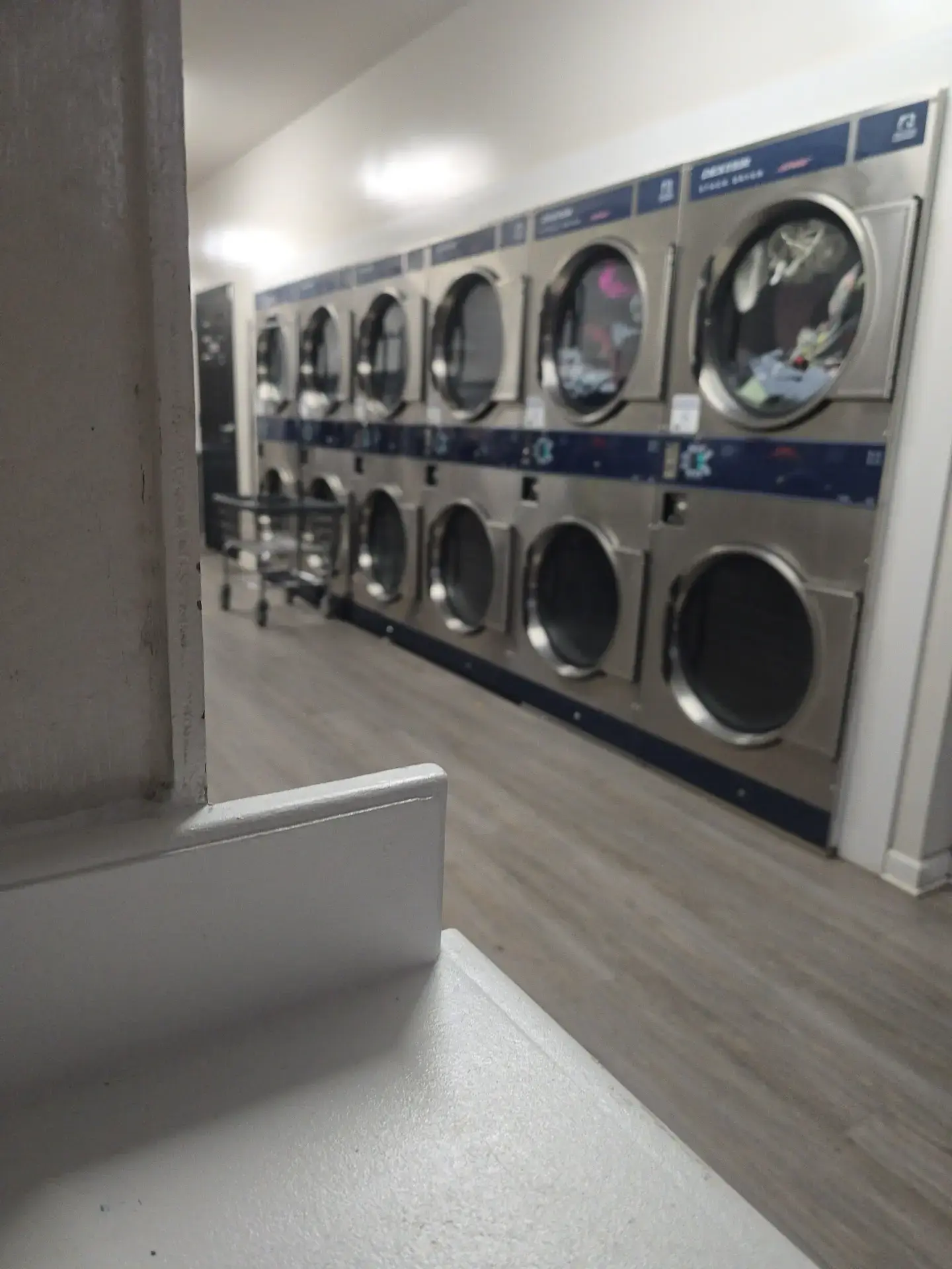 Newtown Laundry & Co thumbnail 18