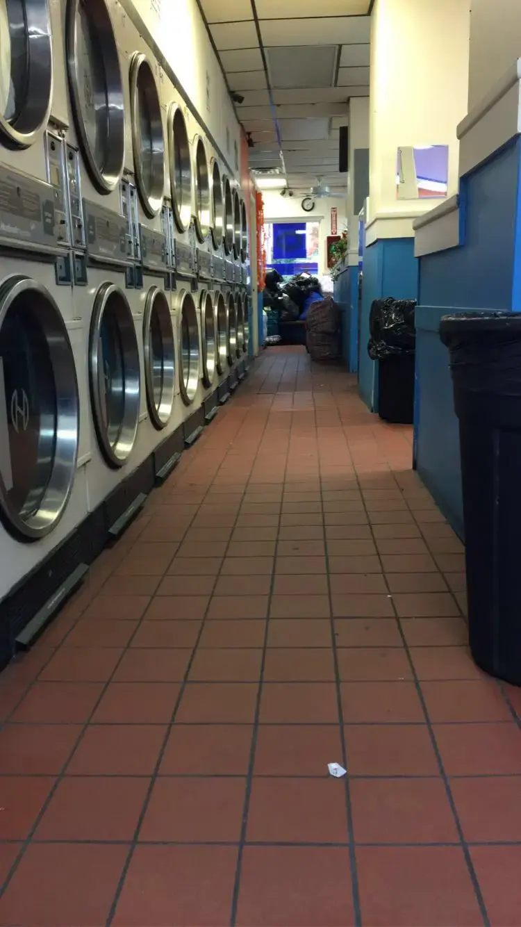 Nicole's Laundromat thumbnail 16