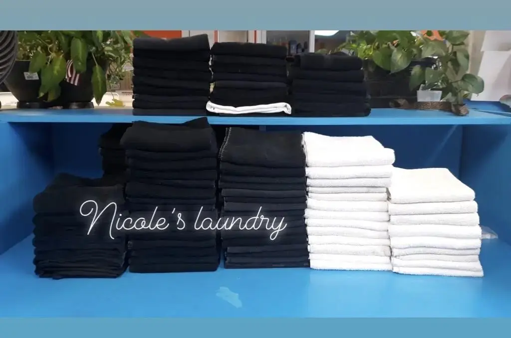 Nicole's Laundromat thumbnail 7