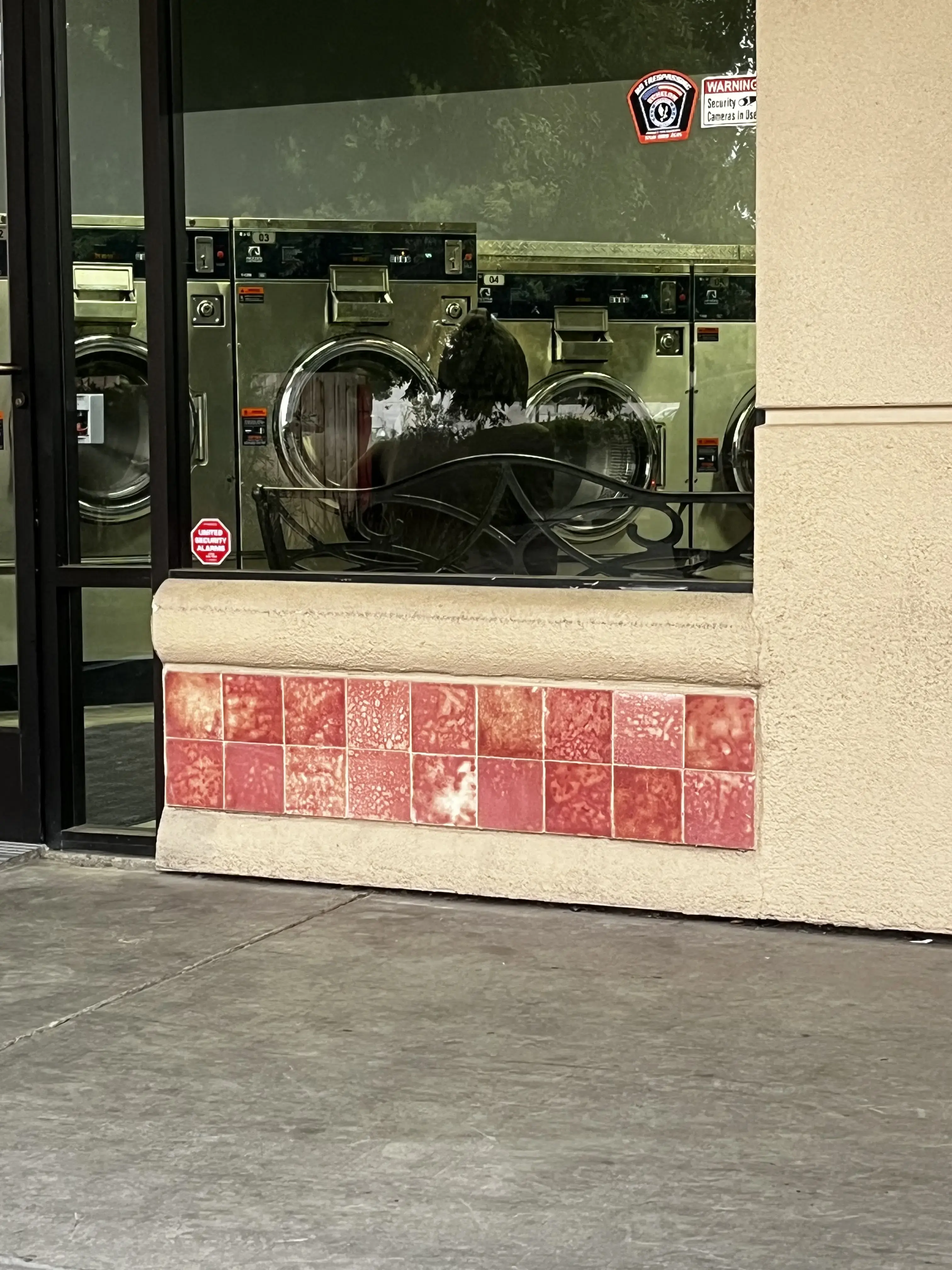 Noble Coin-Op Laundromat + Wash & Fold Laundry Co. thumbnail 7