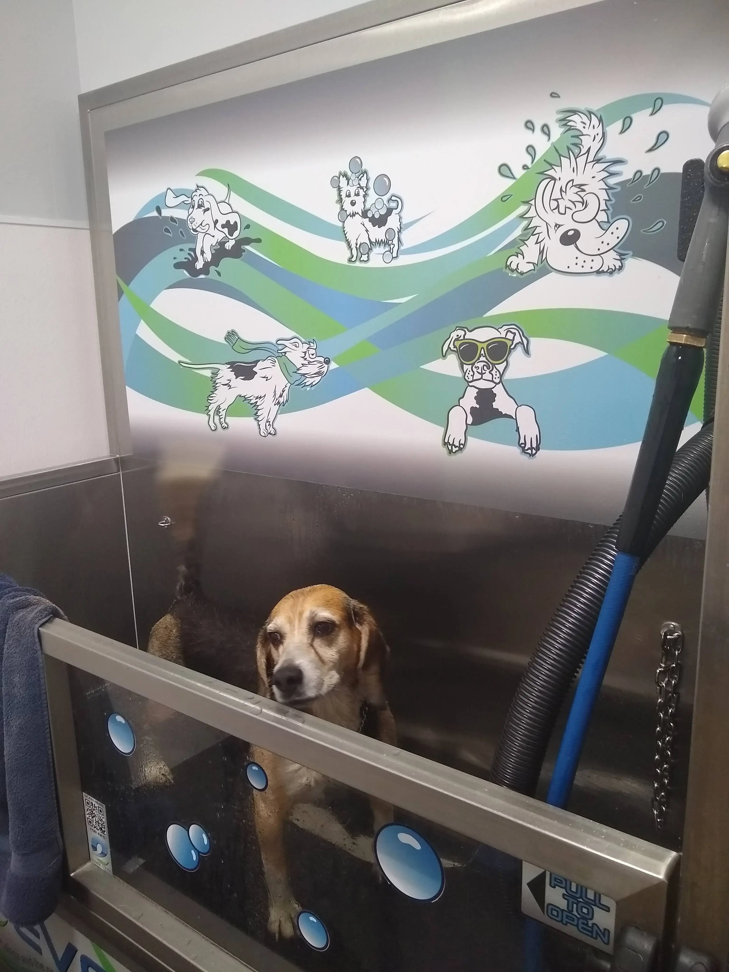 North Court Laundry thumbnail 6