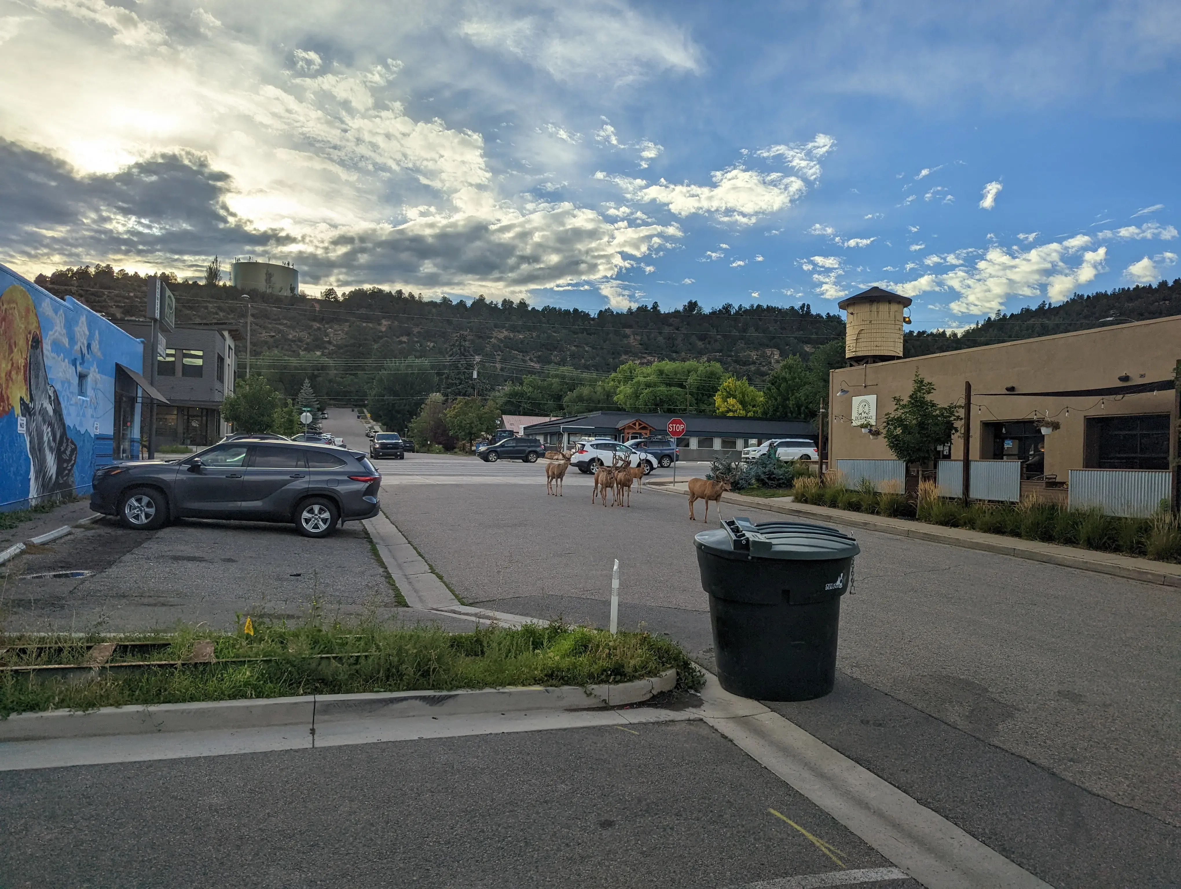 North Main Laundry thumbnail 12