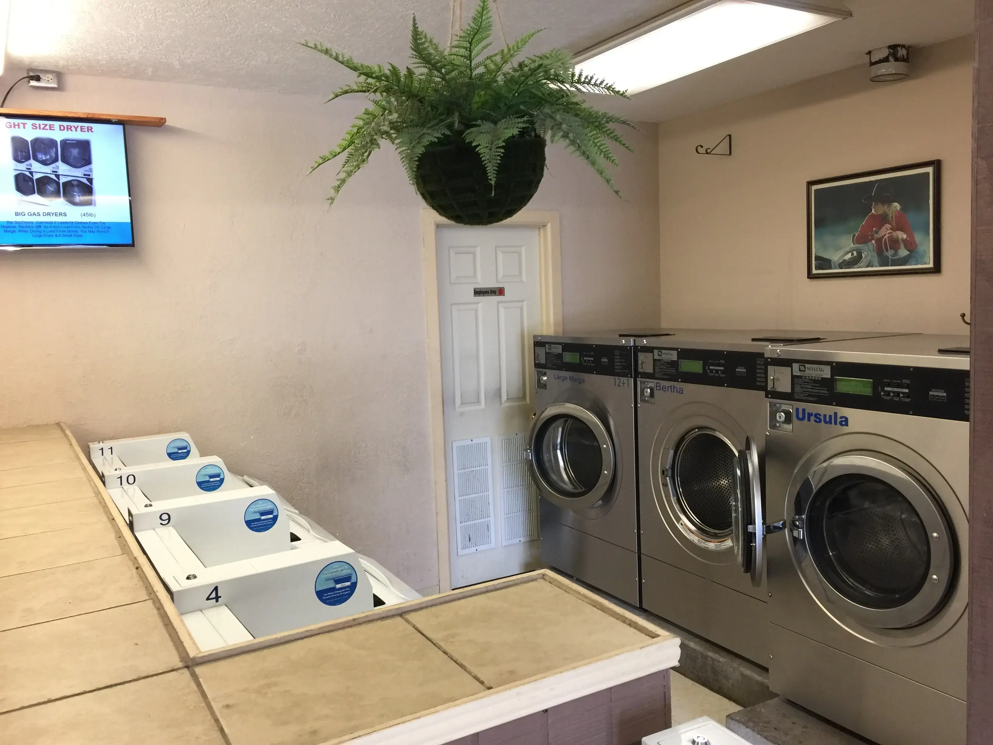 North View Wash World thumbnail 20