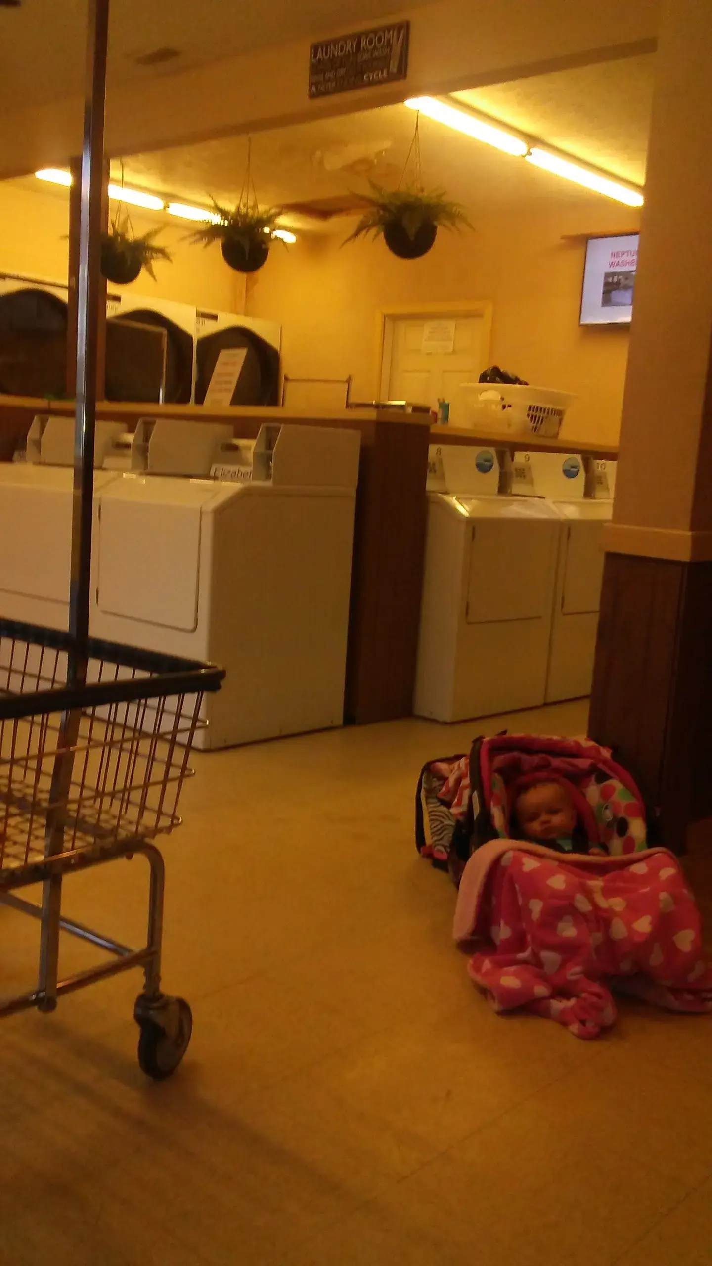 North View Wash World thumbnail 11