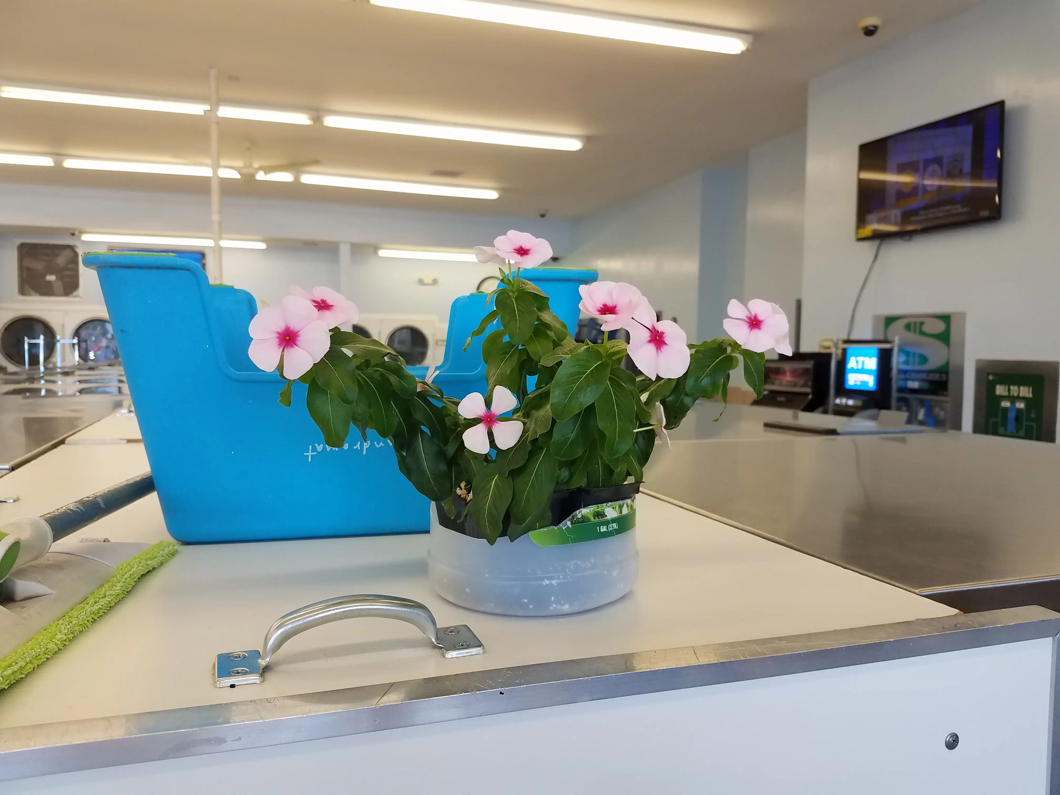 Number One Laundromat thumbnail 15