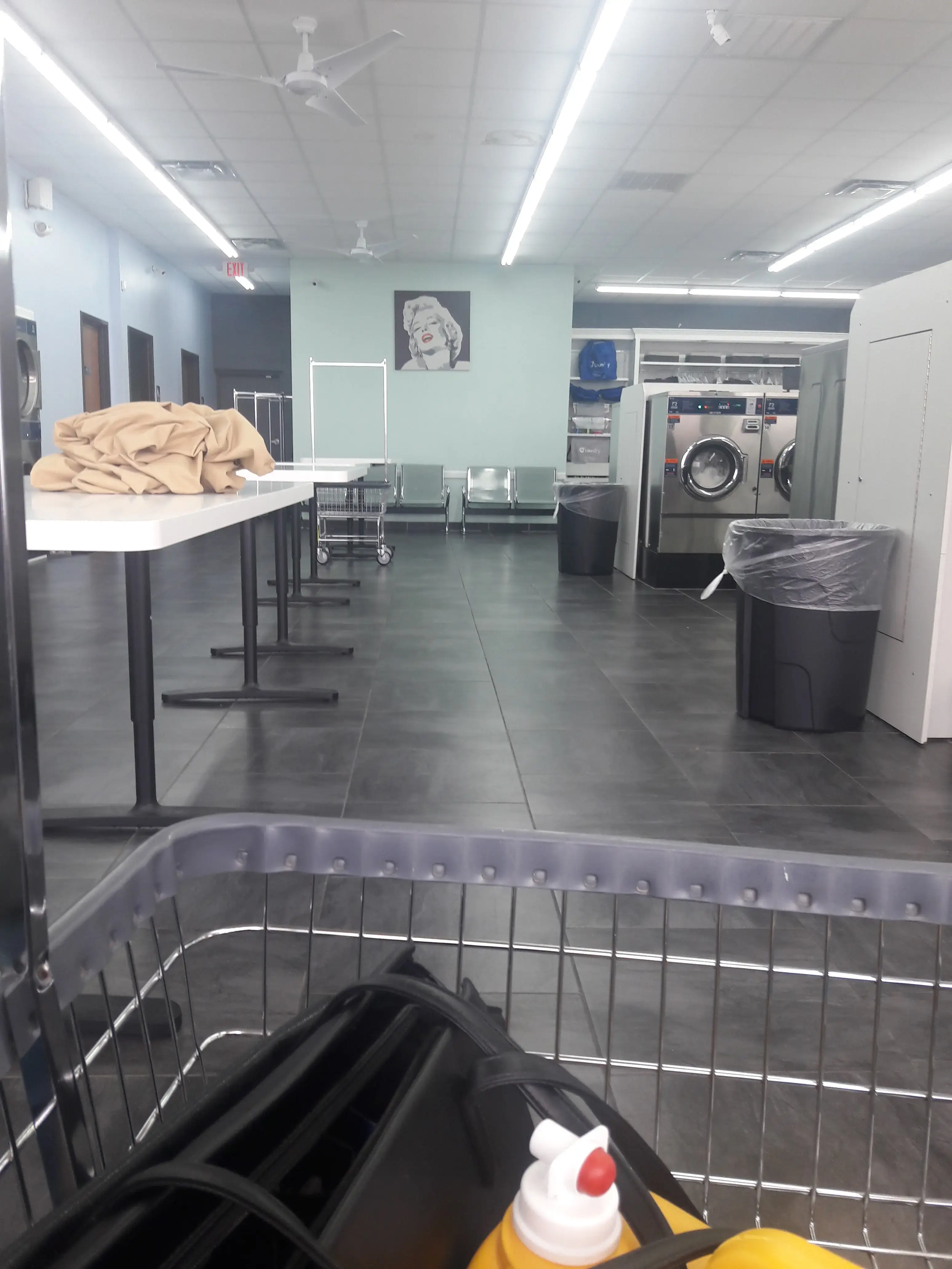 O Laundry thumbnail 5