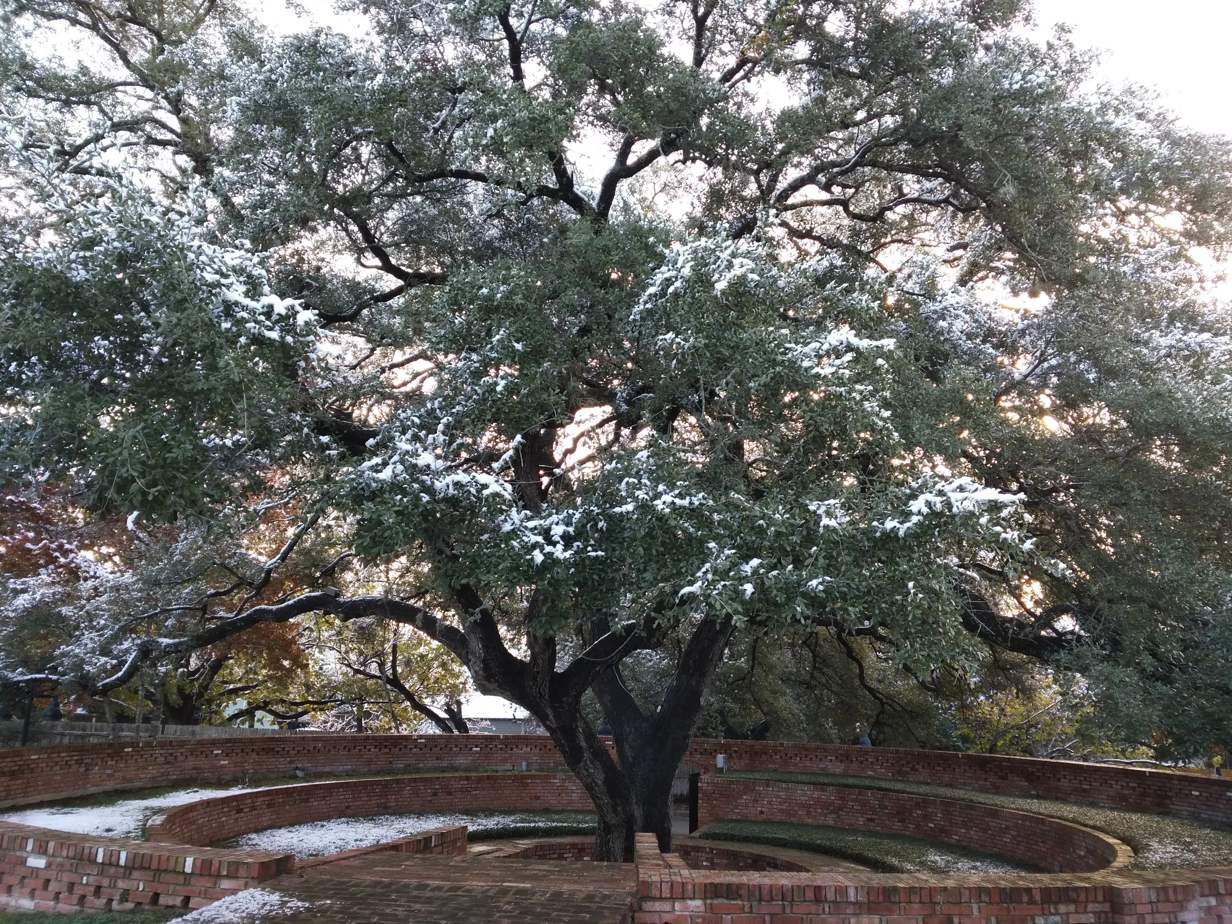 Oak Park Cleaners - Image 8