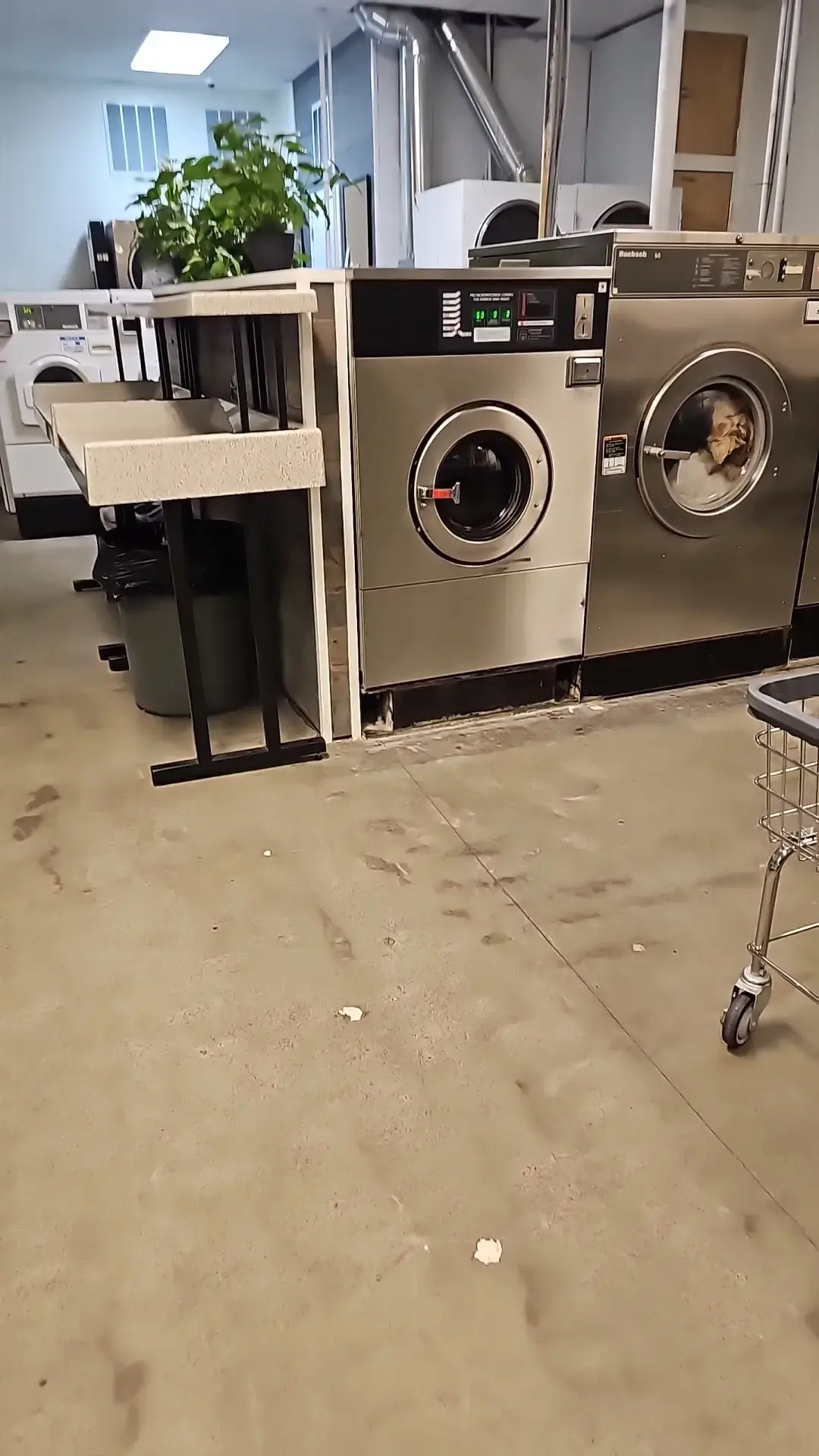 Oak Tree Village Laundry thumbnail 17