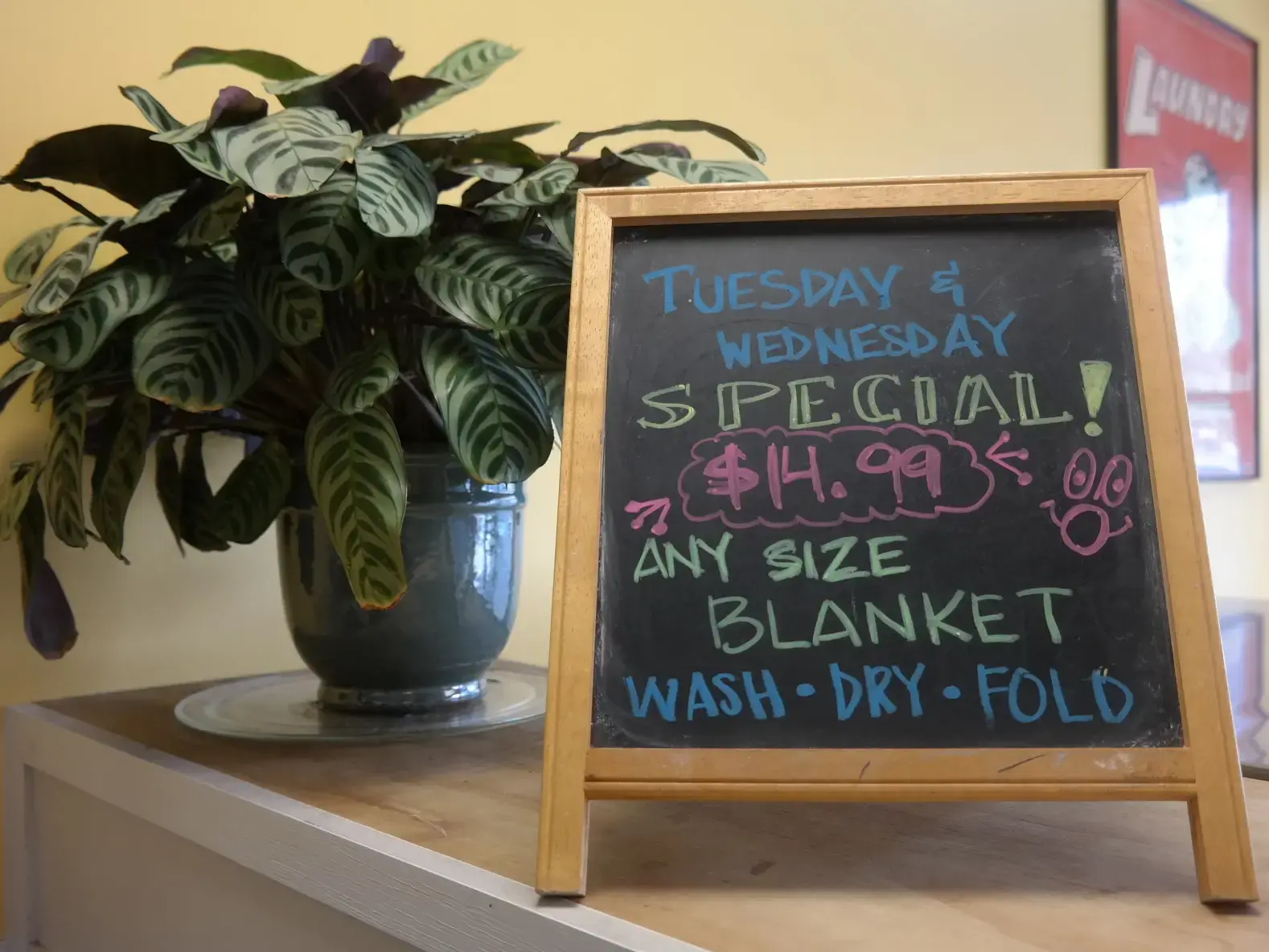 Oak Tree Village Laundry - Image 11