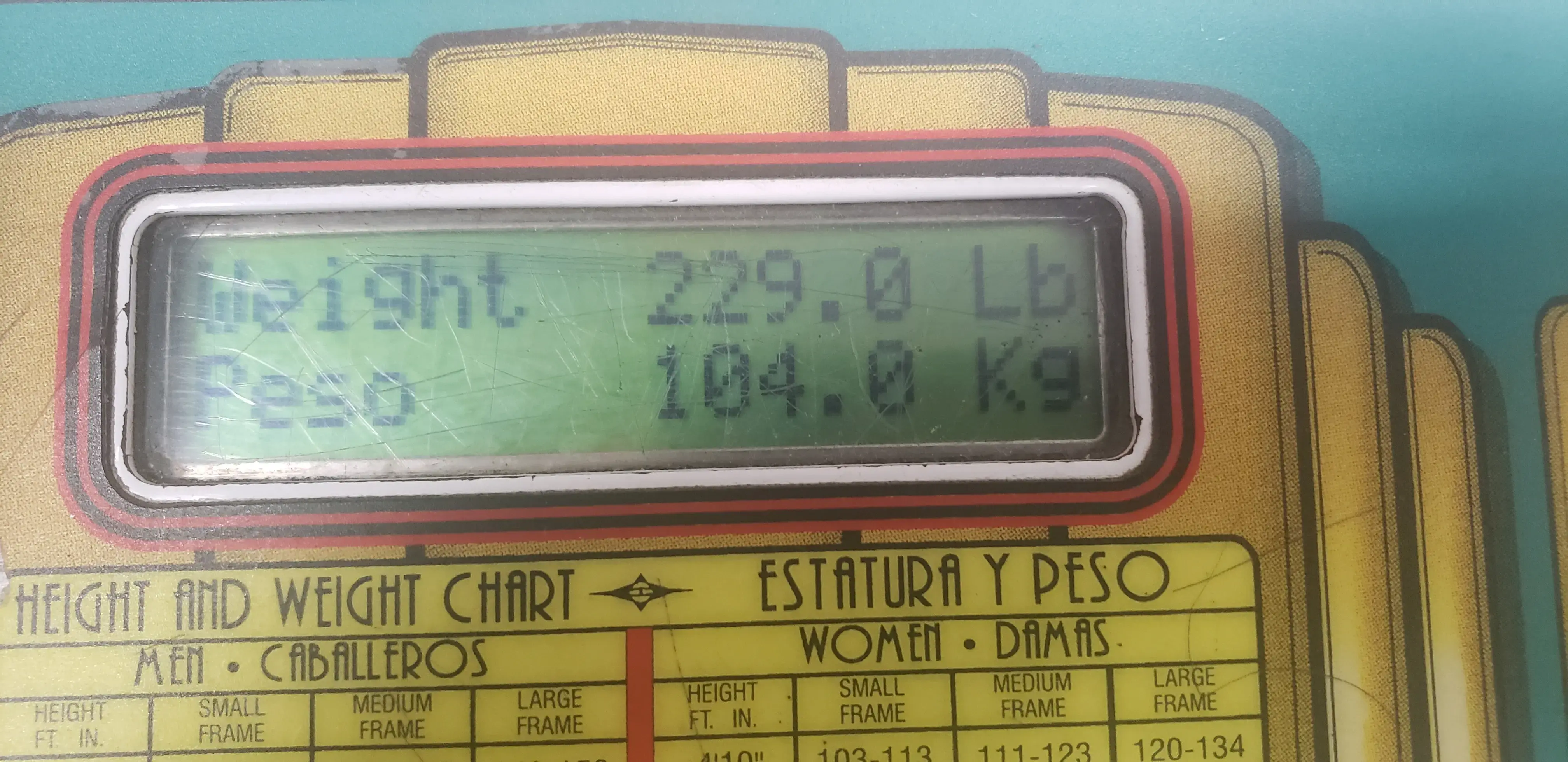 Oasis Laundry - Image 17