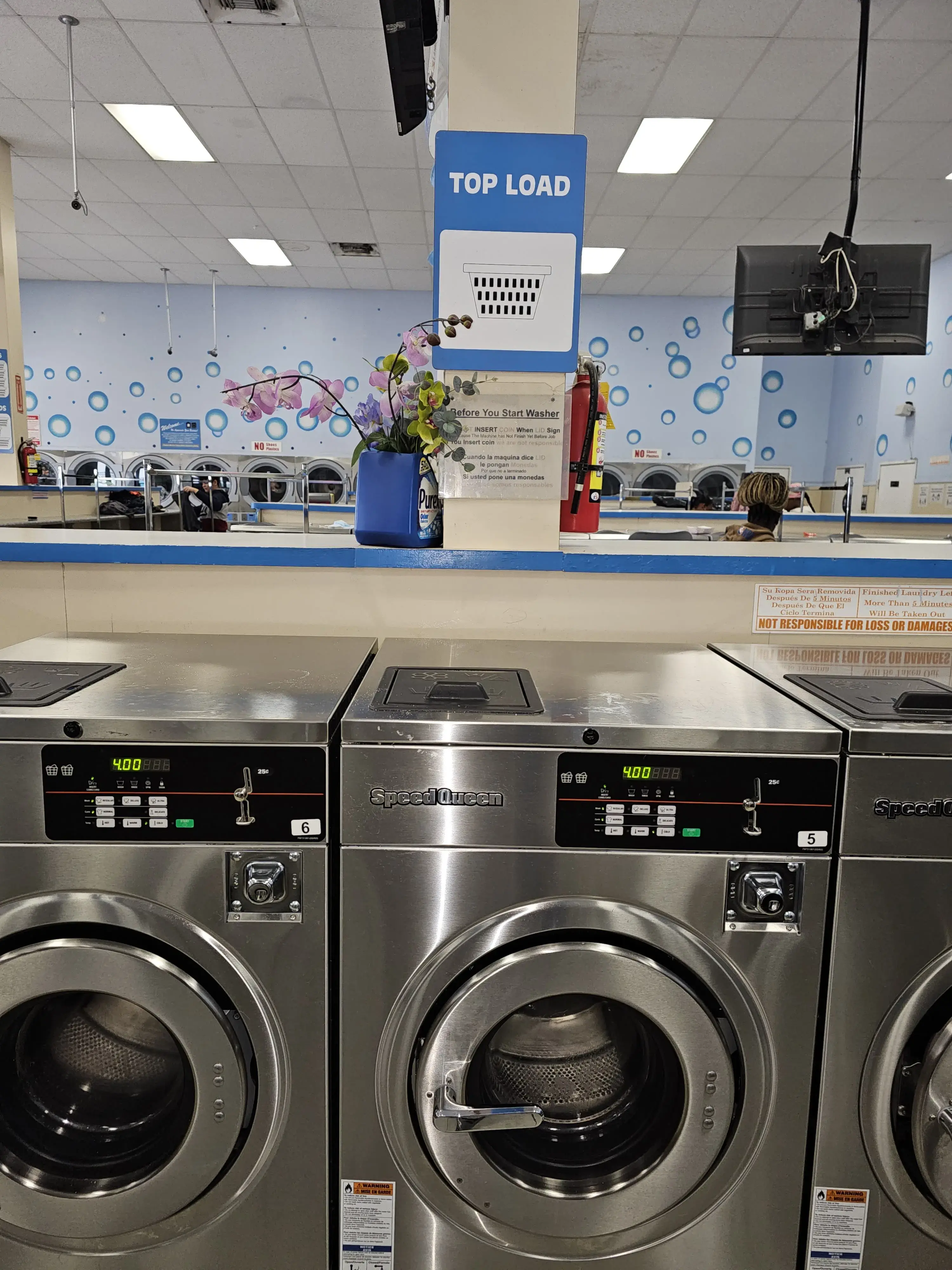 Oasis Laundry thumbnail 2