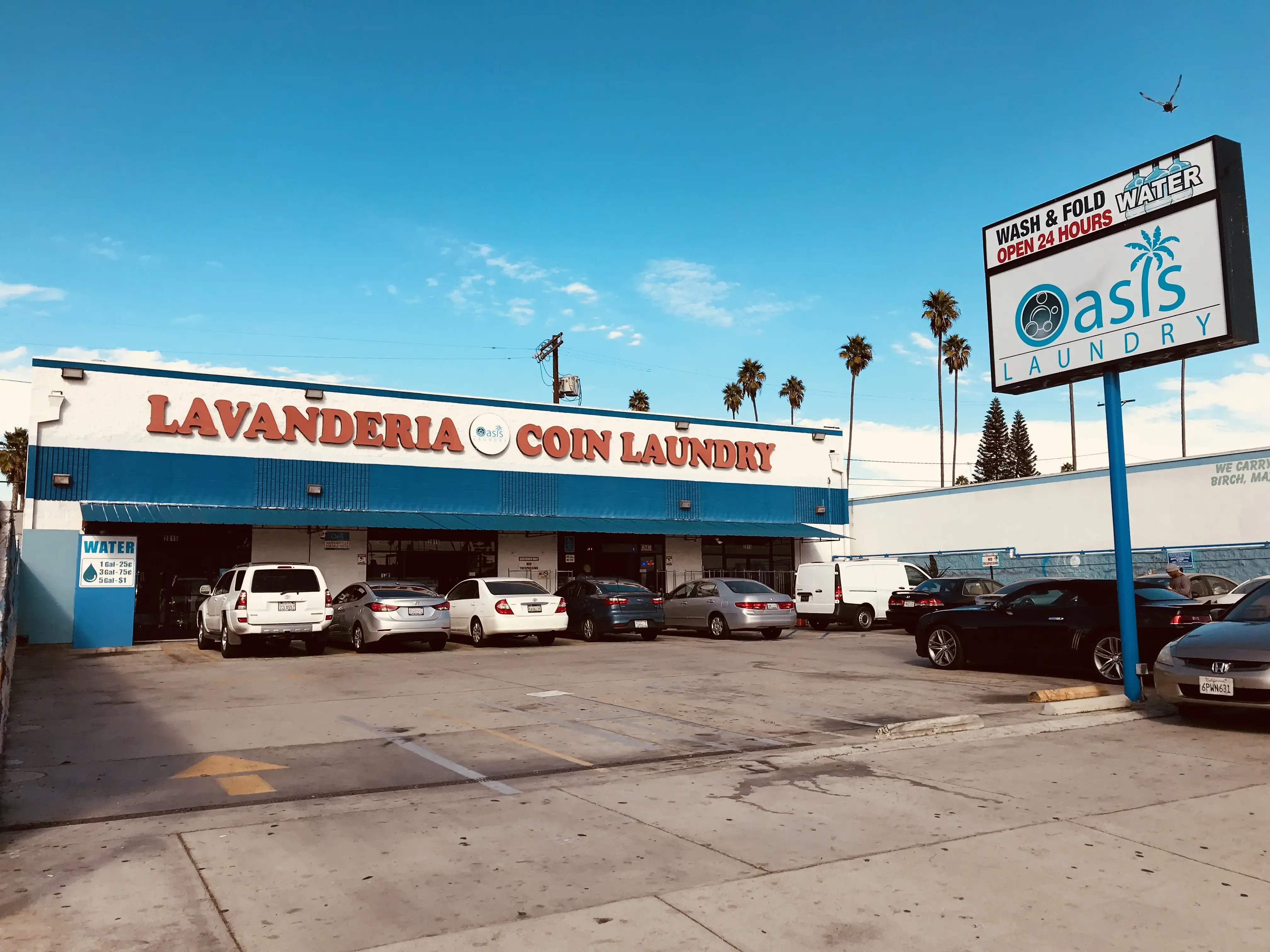 Oasis Laundry thumbnail 3