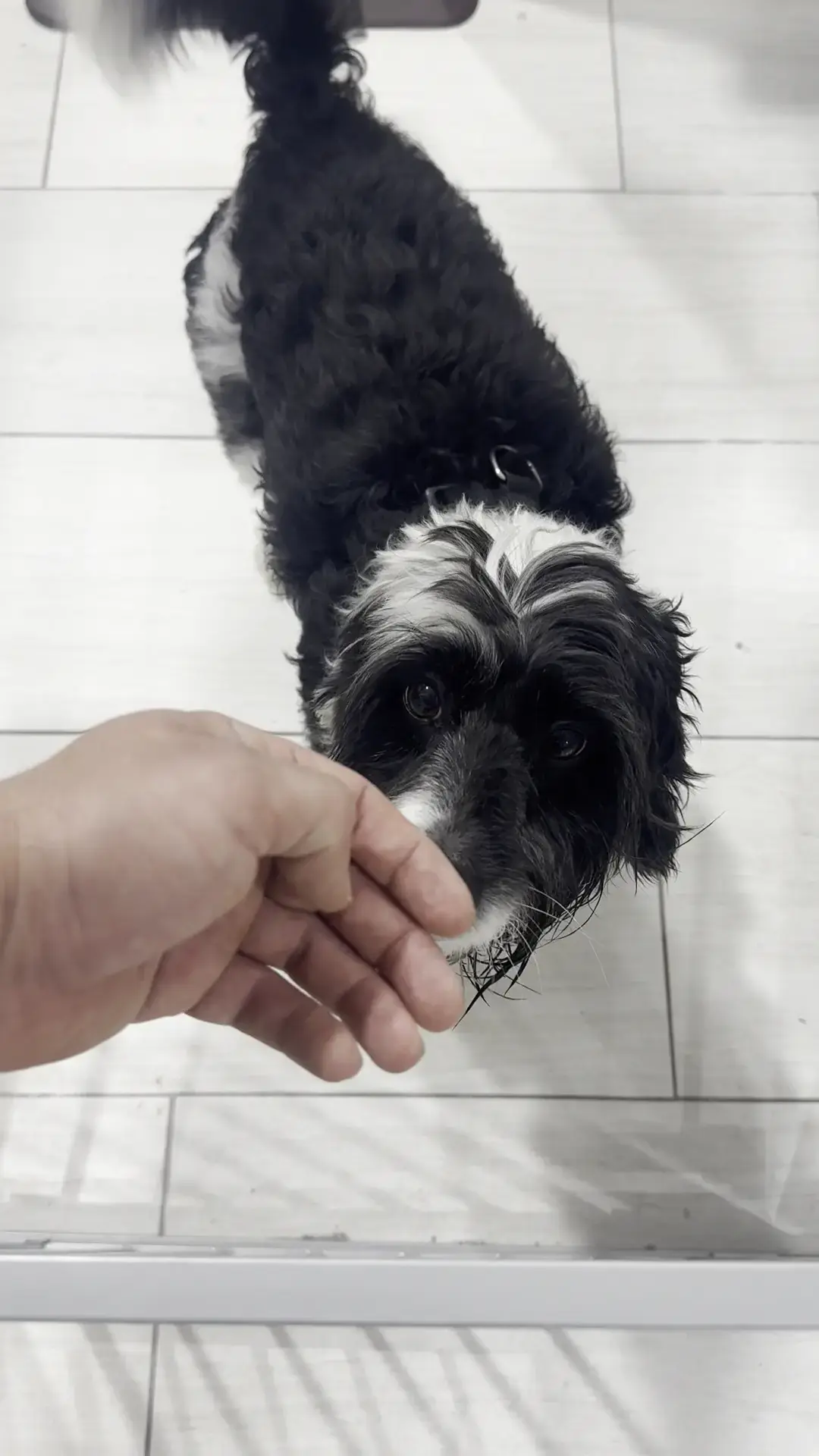 Oasis Laundry - Image 19