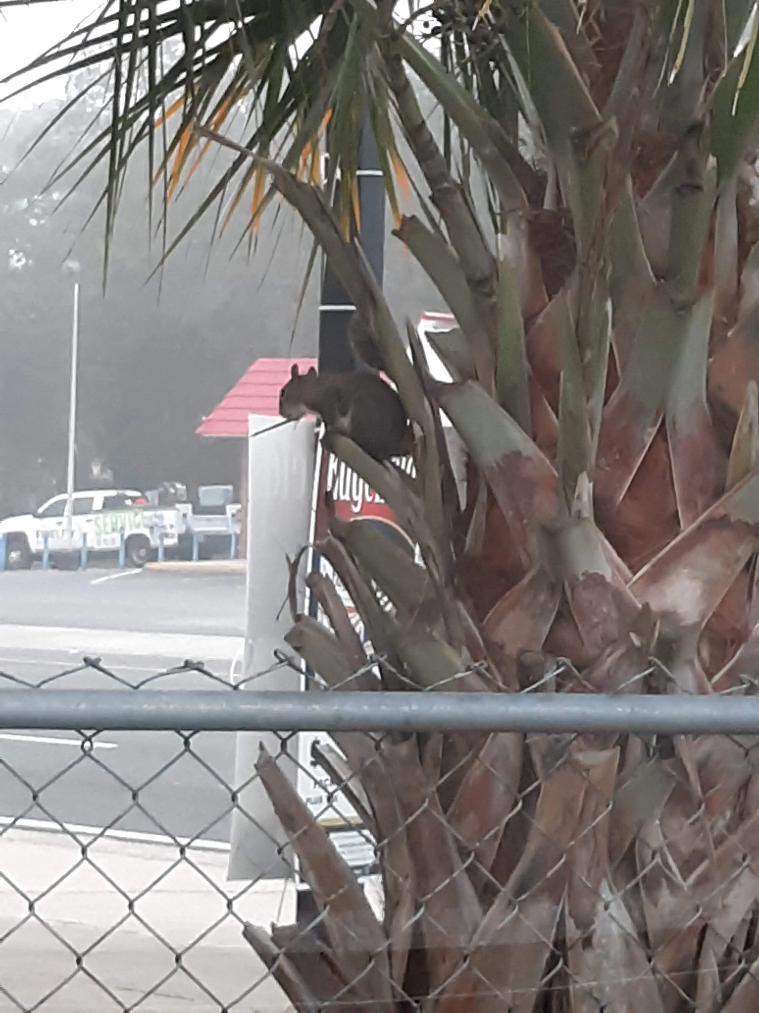 Ocala Express Laundry Center thumbnail 8