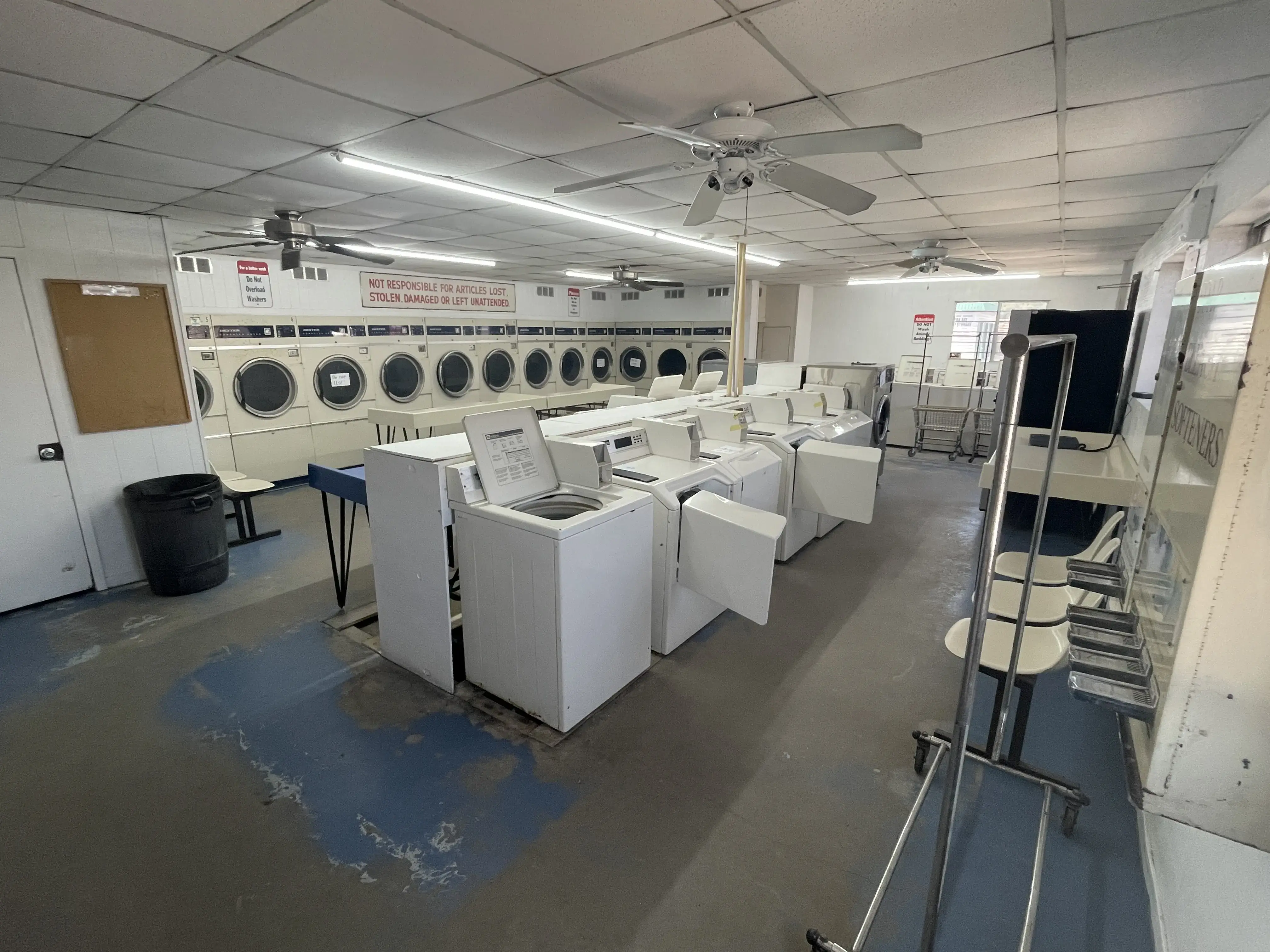 OG Spin Zone - Image 2