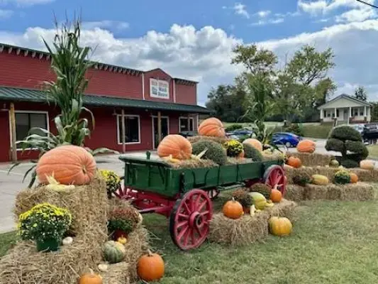 Old Stage Wash House - Image 7