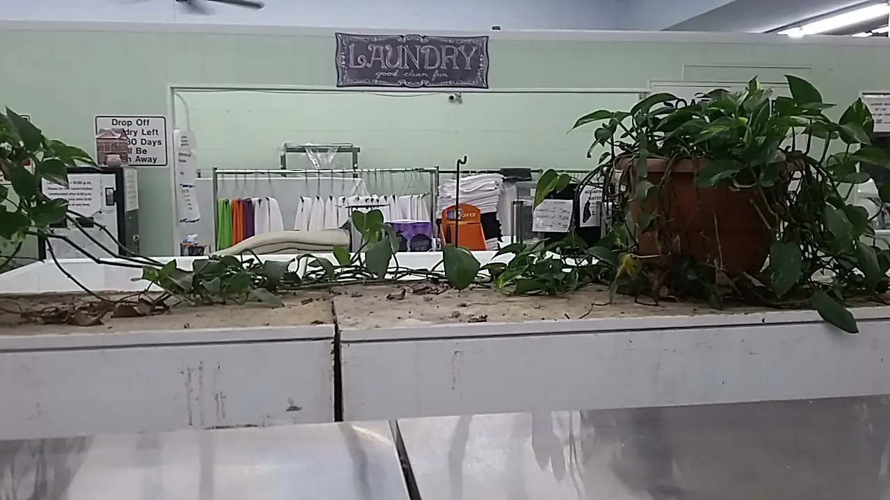 Old Town Coin Laundry thumbnail 11