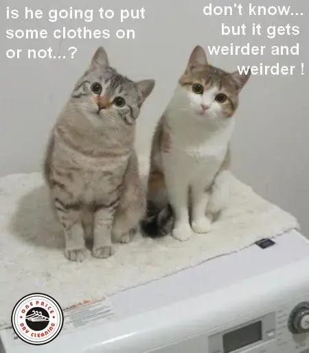 One Price Dry Cleaners Express Alterations - Image 9